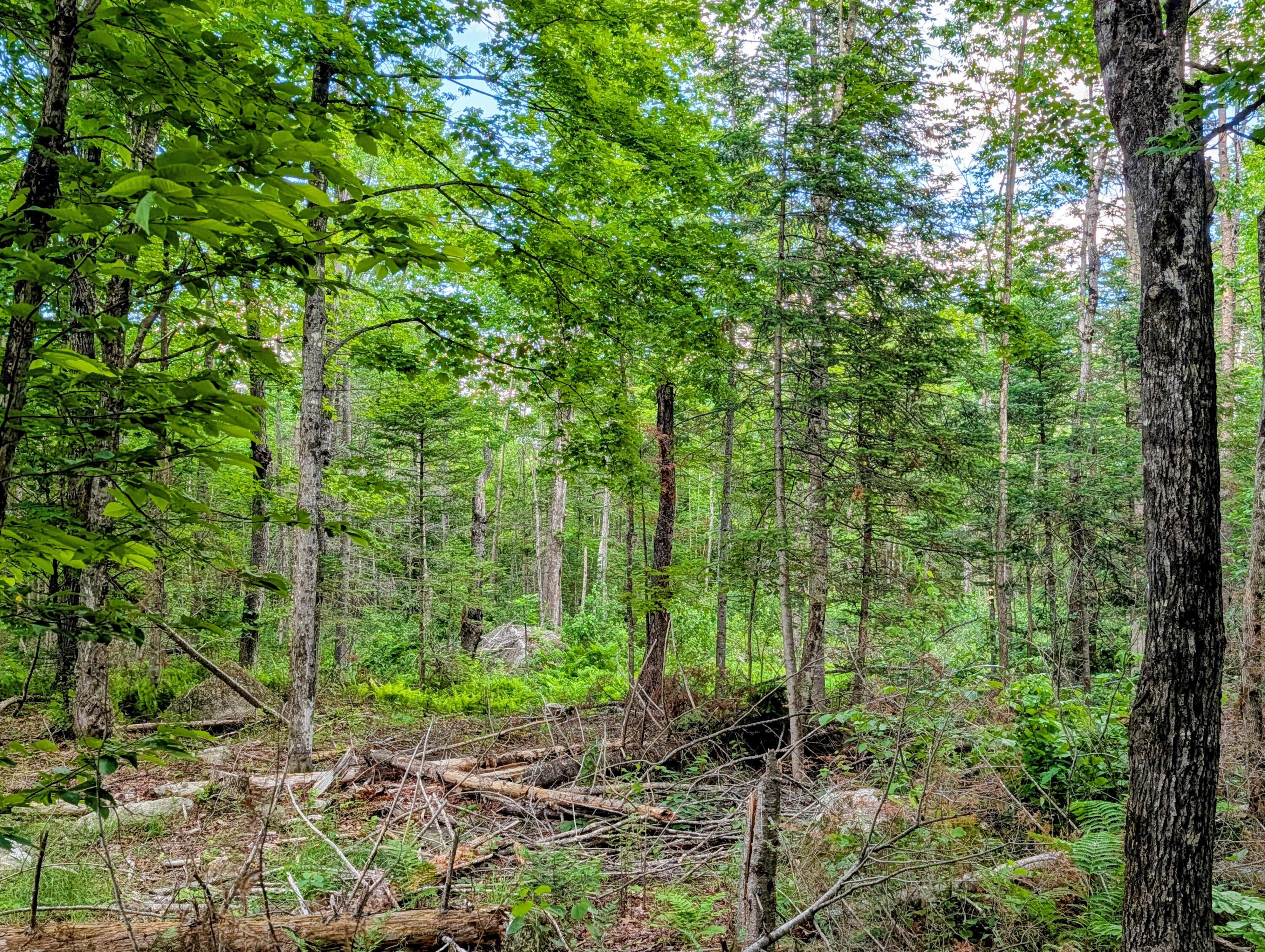 main property photo 64