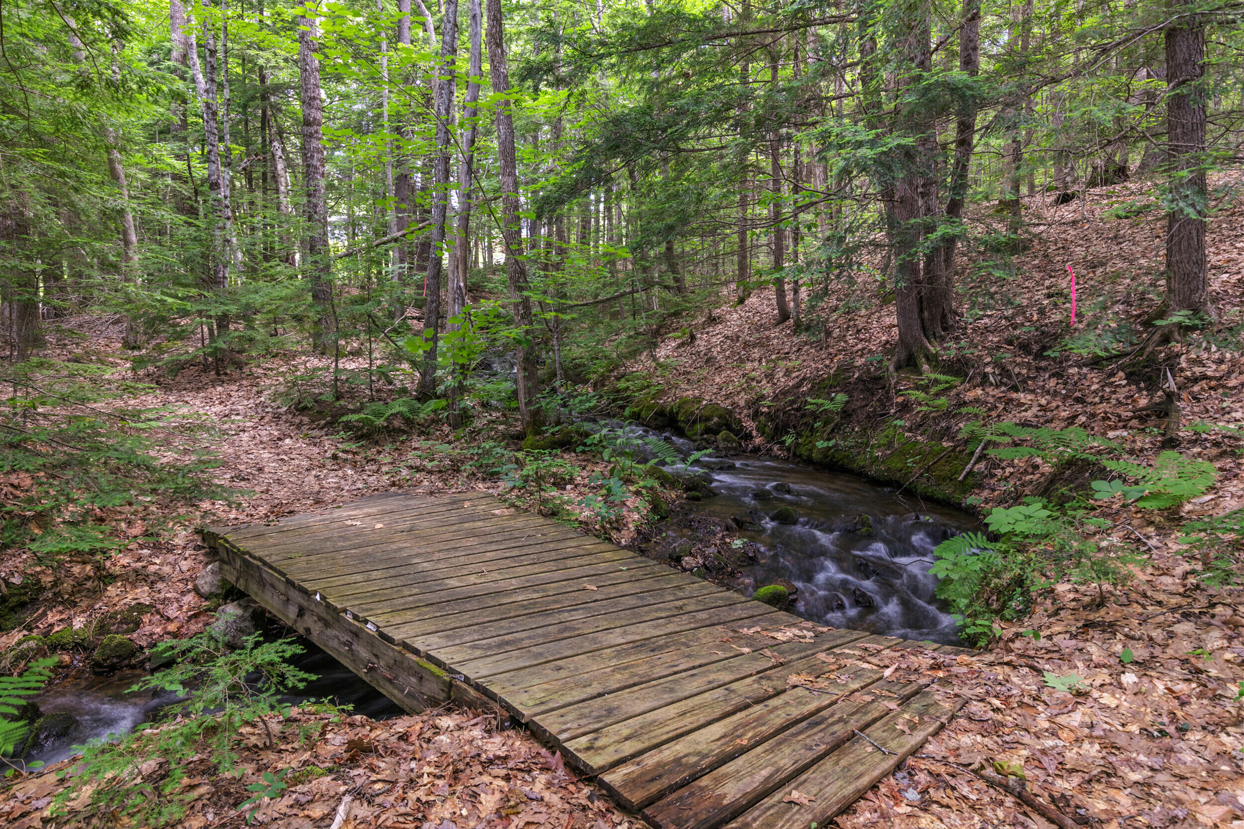 main property photo 72
