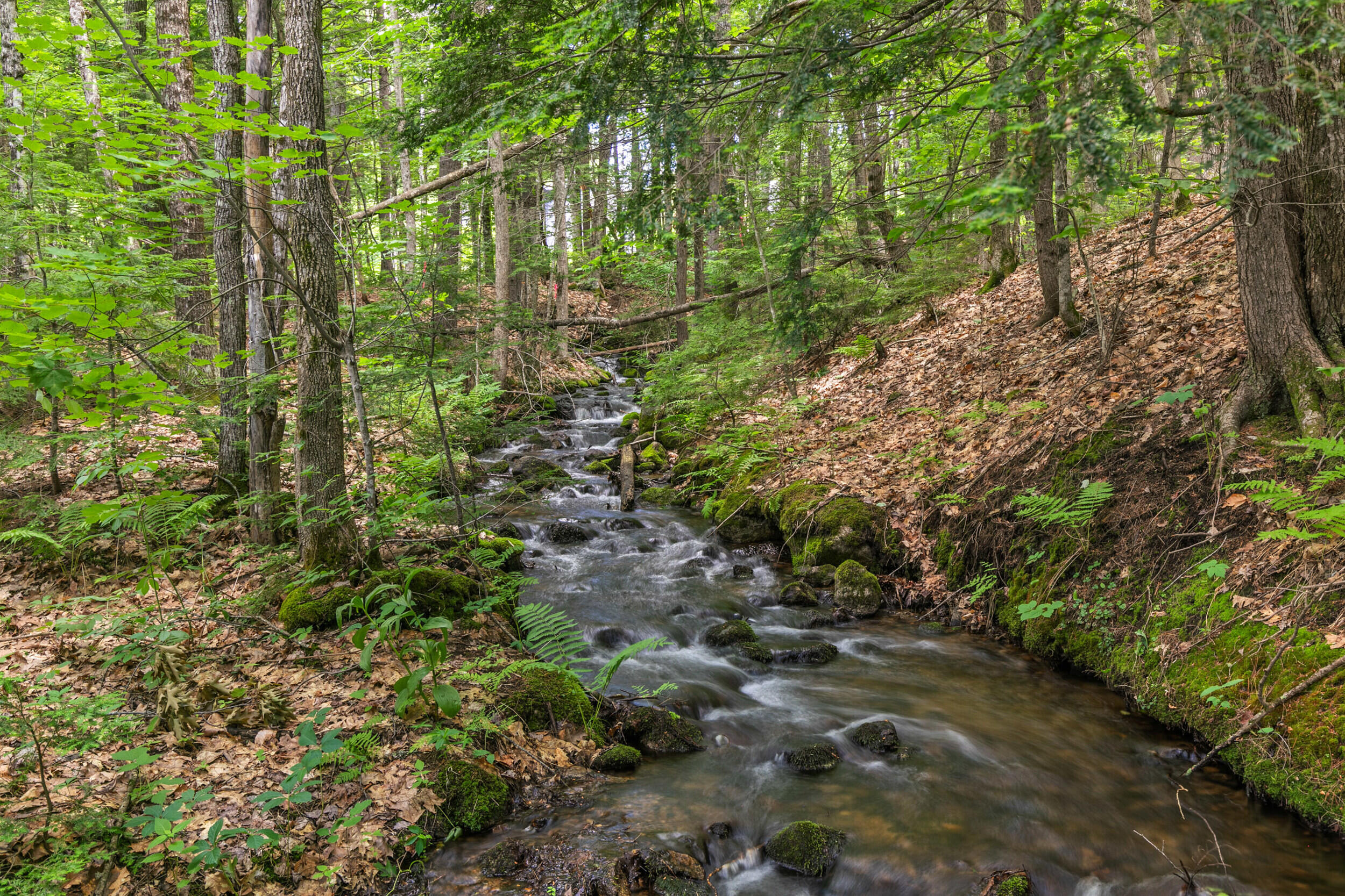 main property photo 74