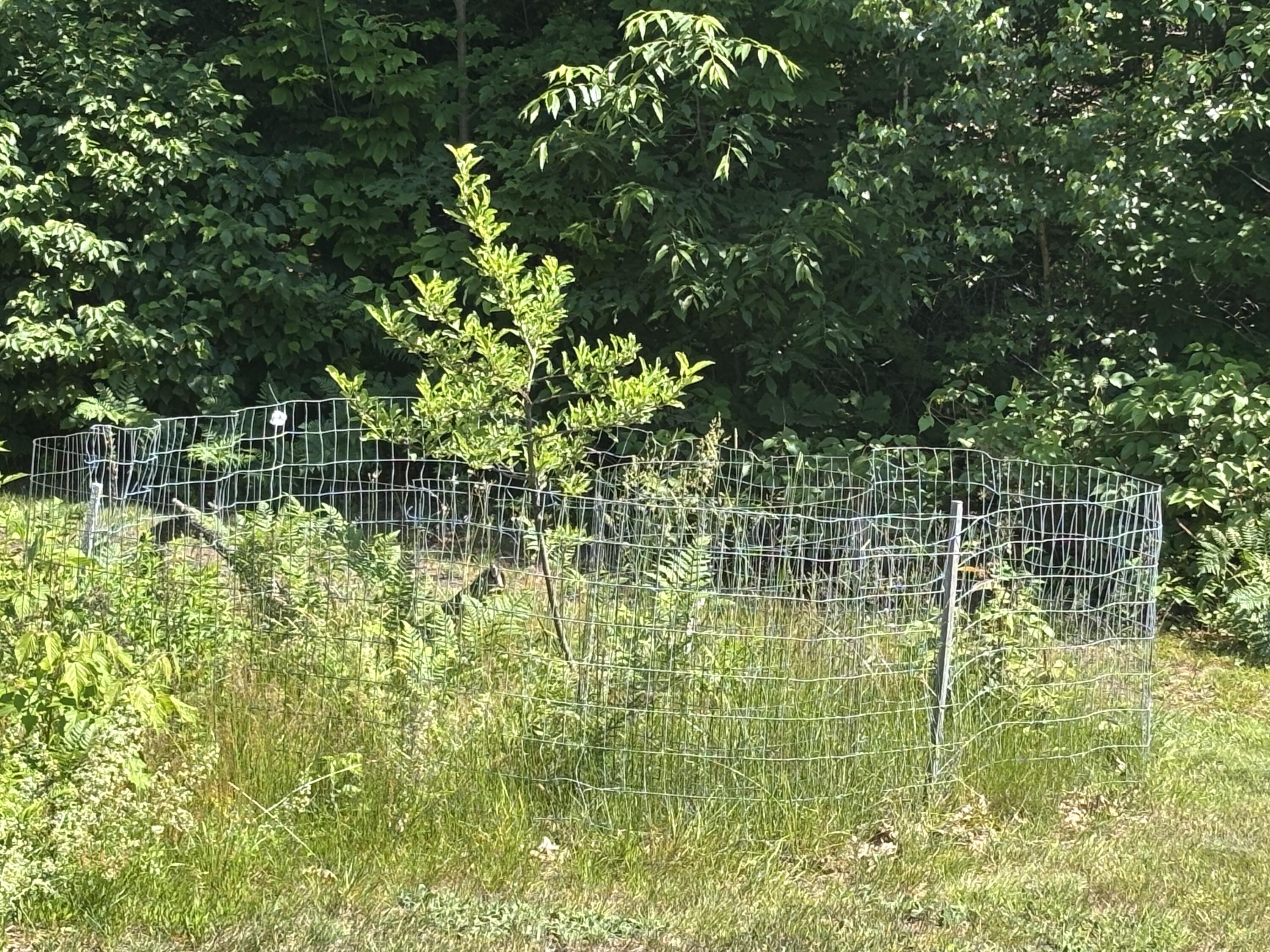 main property photo 72