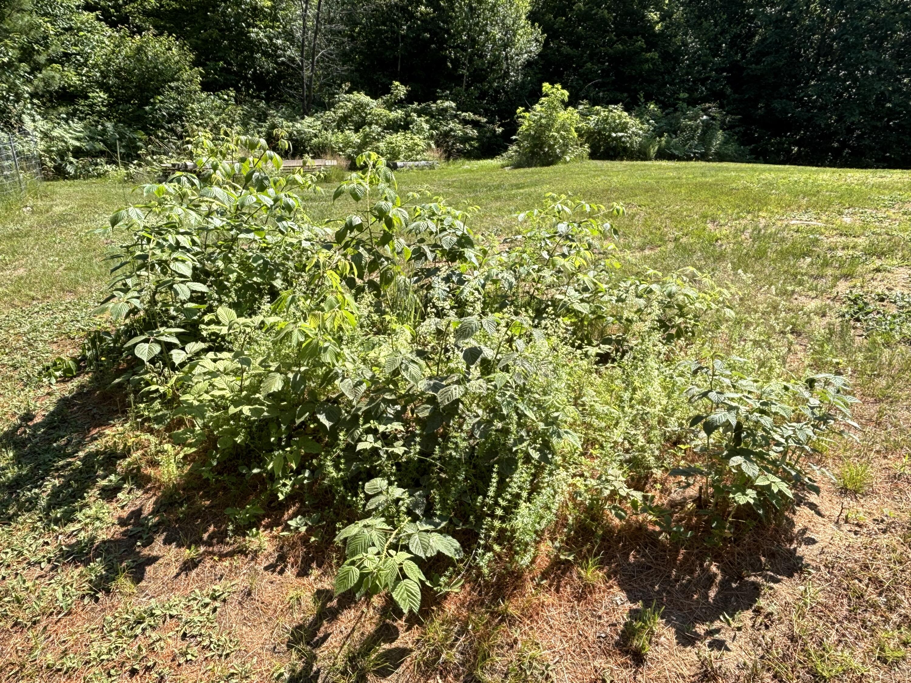 main property photo 74
