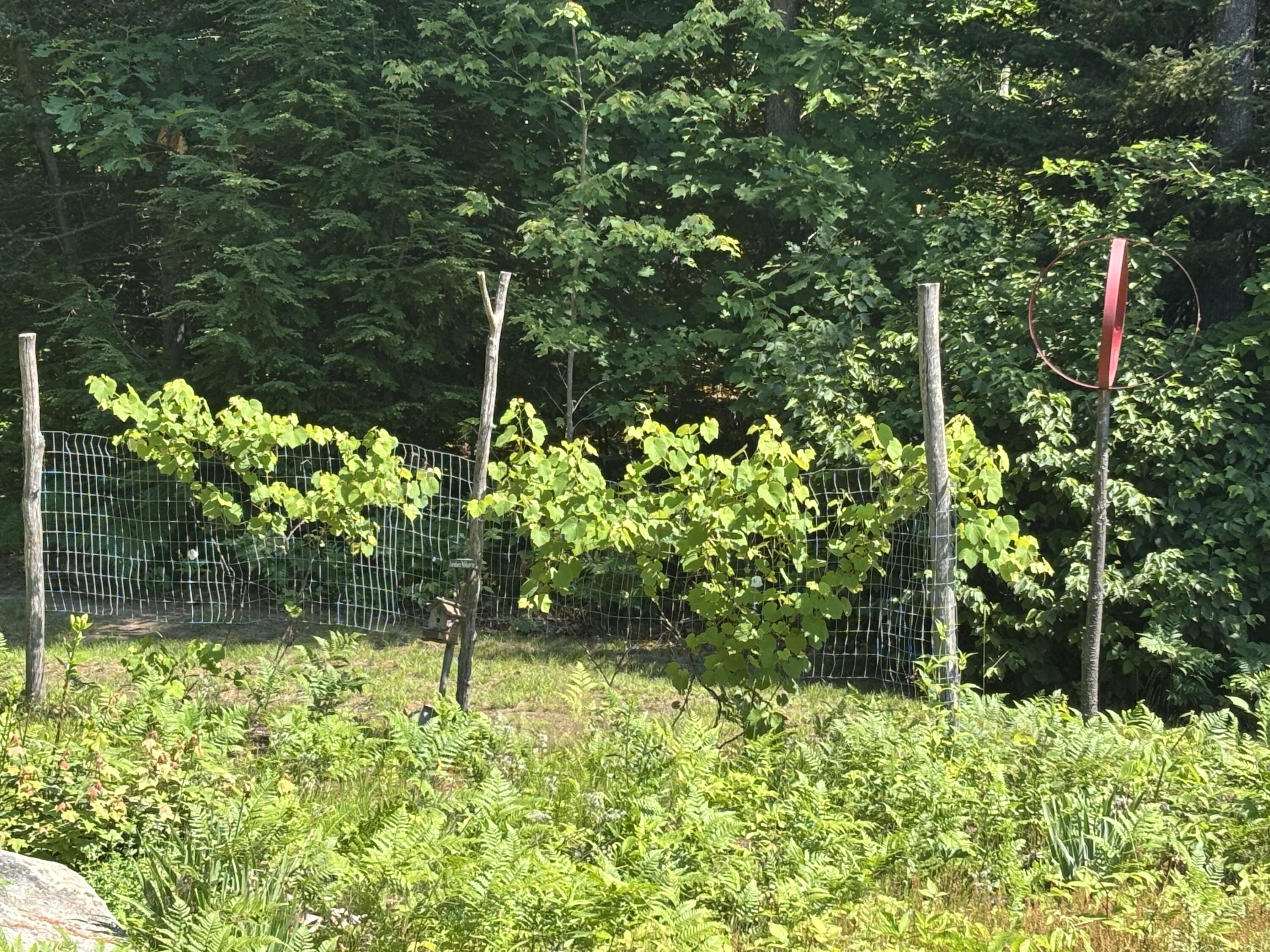 main property photo 75
