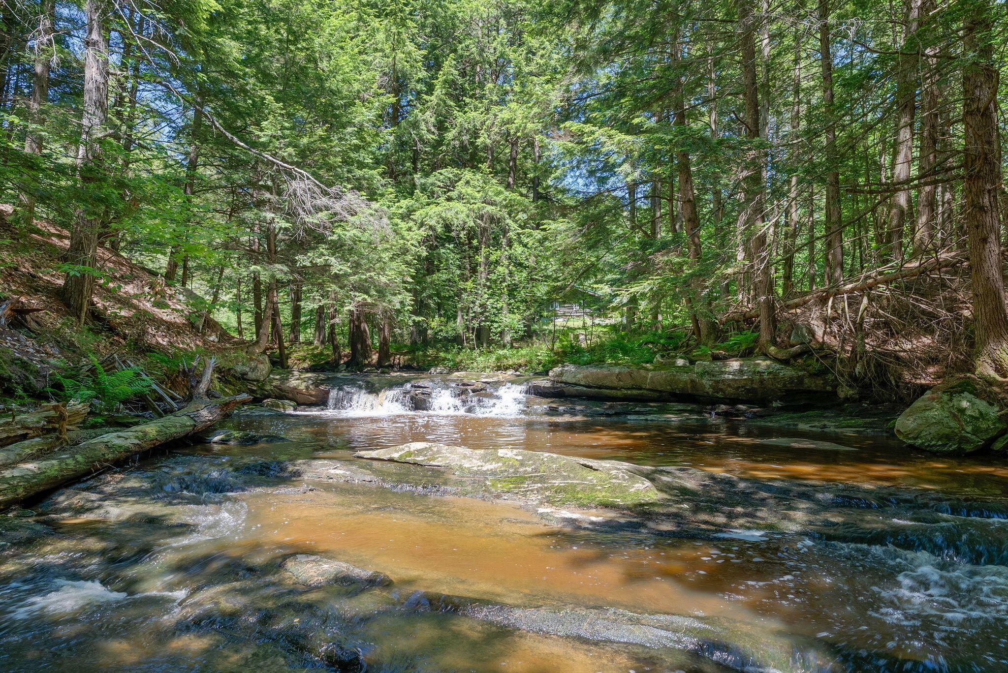 main property photo 56