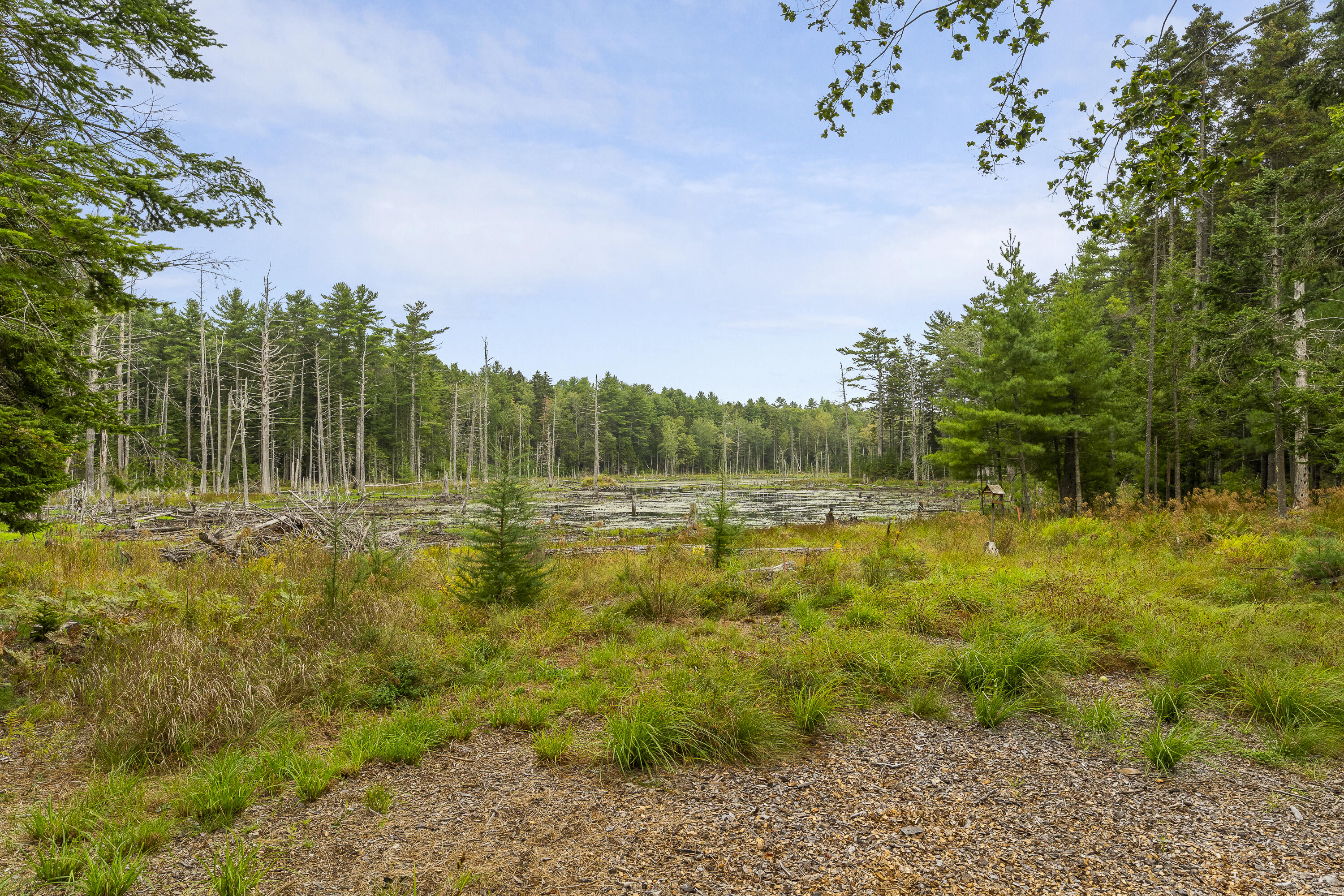 main property photo 65