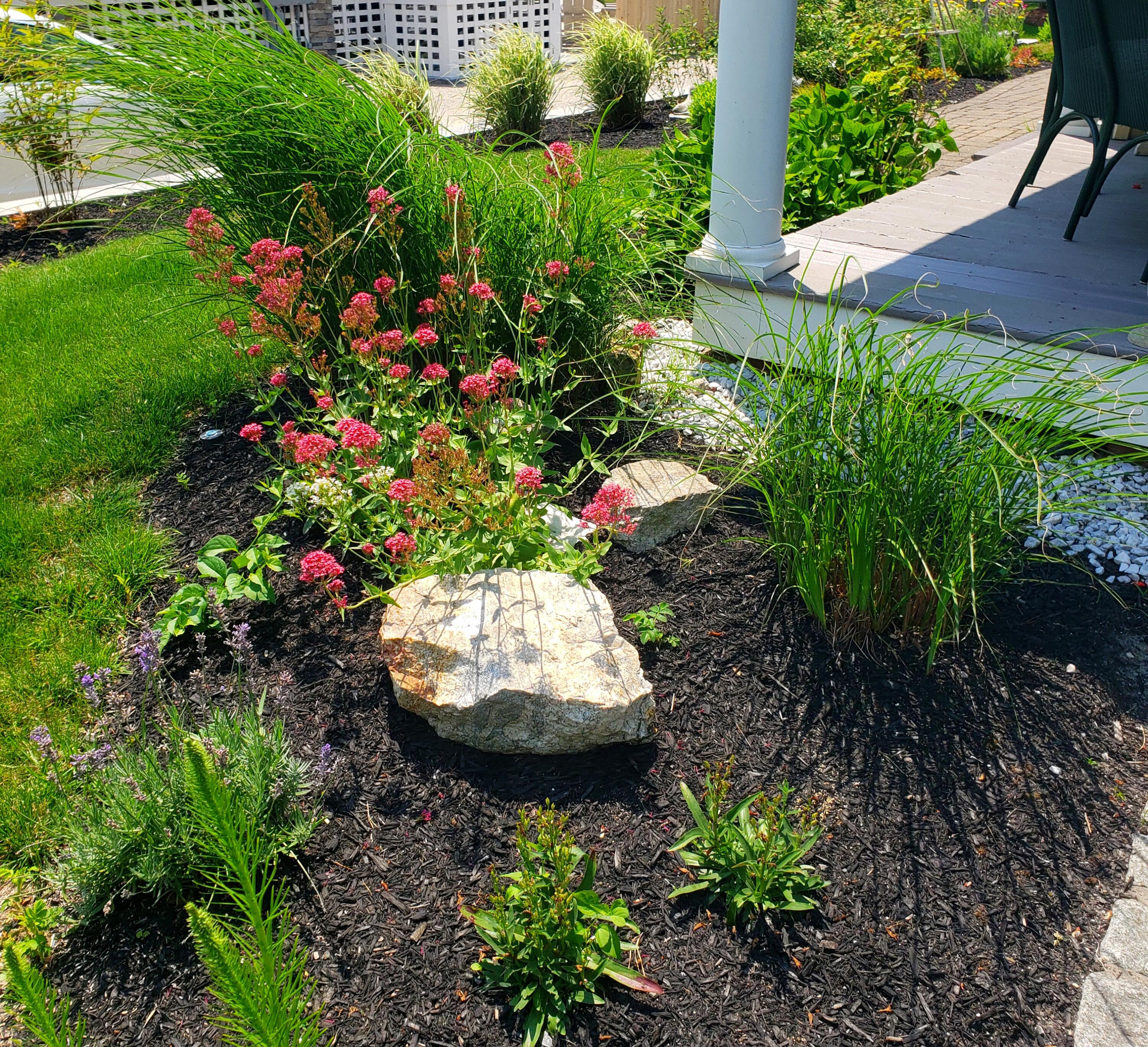 main property photo 62