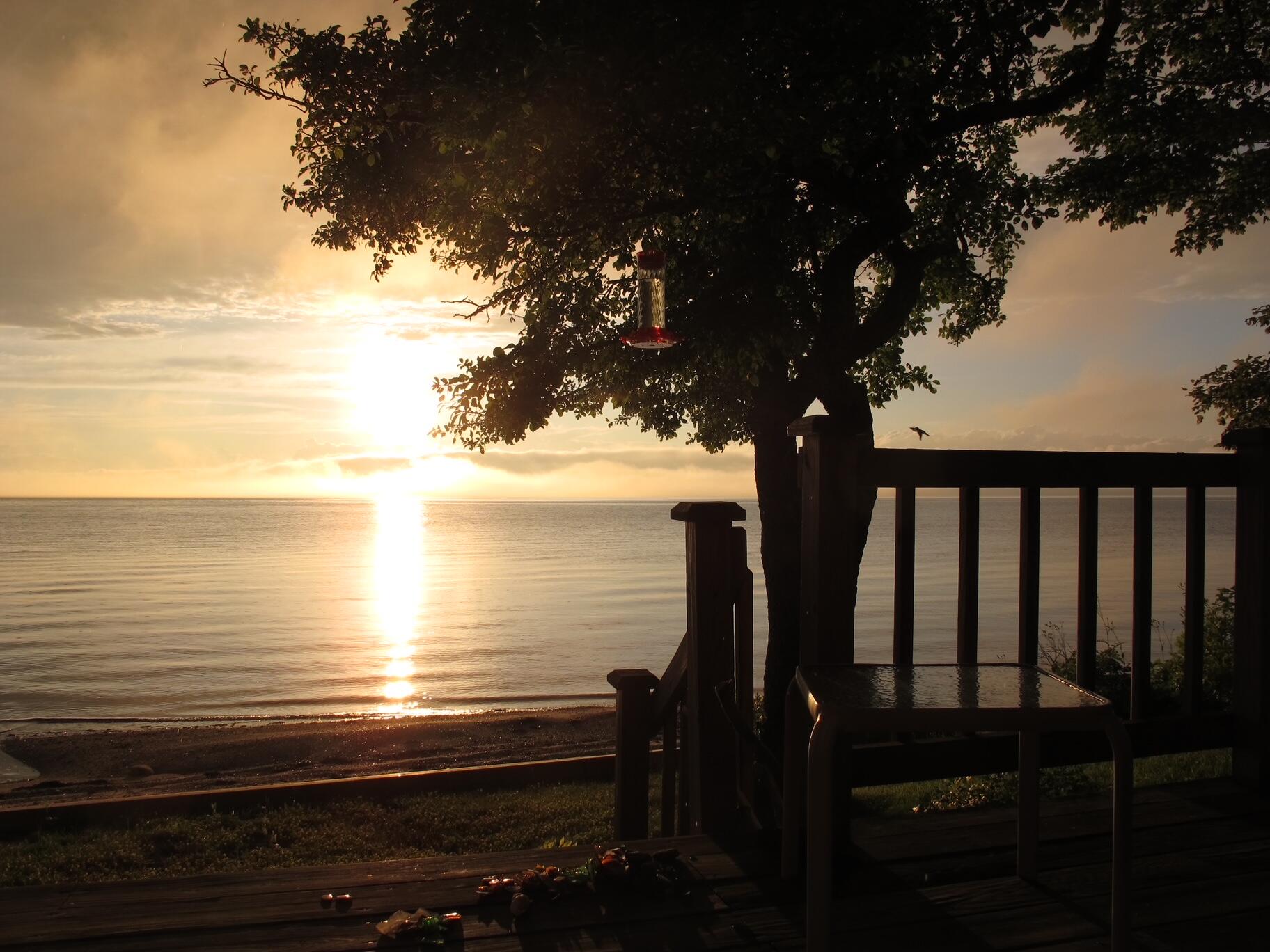 main property photo 30