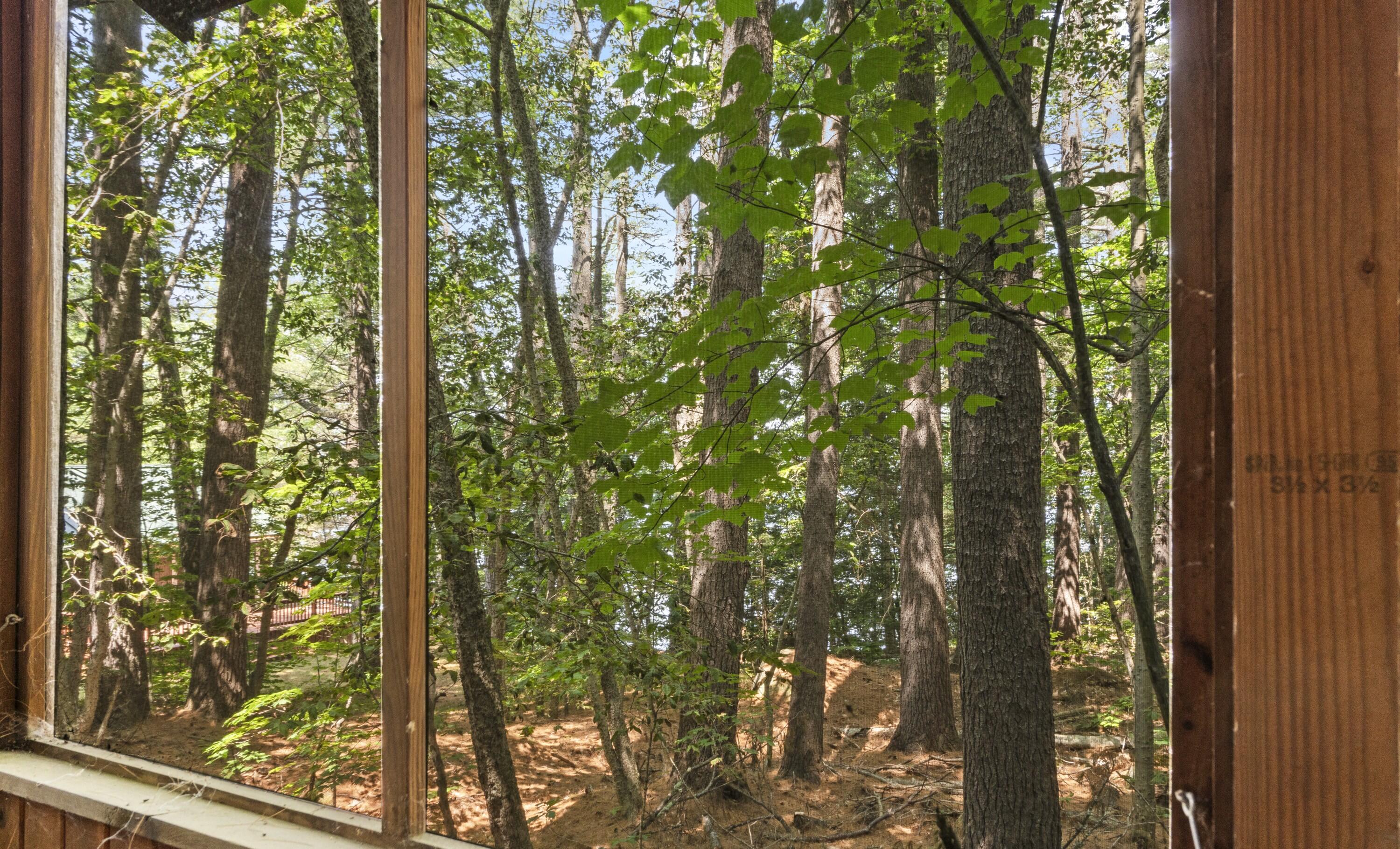 main property photo 59