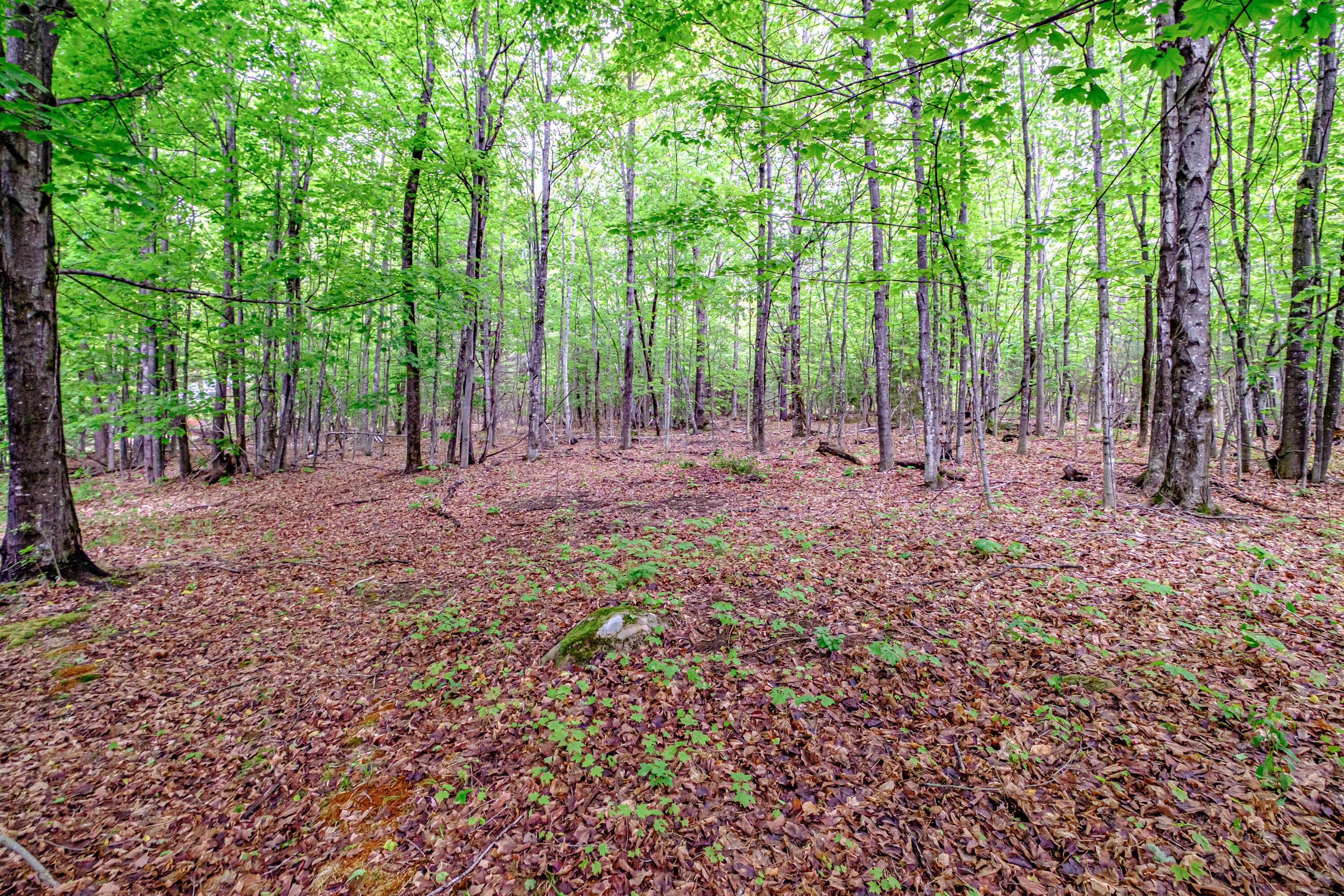 main property photo 130