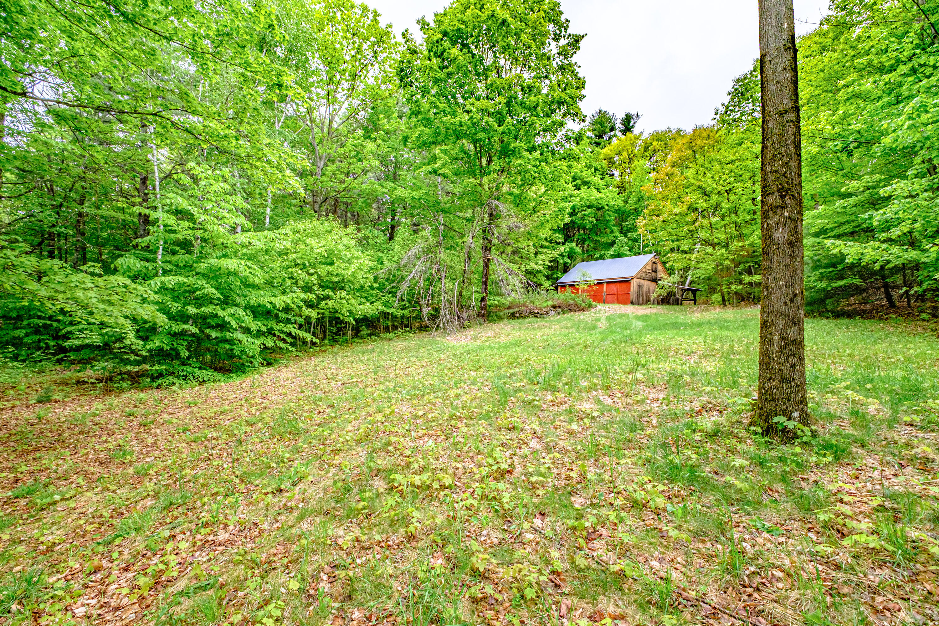 main property photo 135