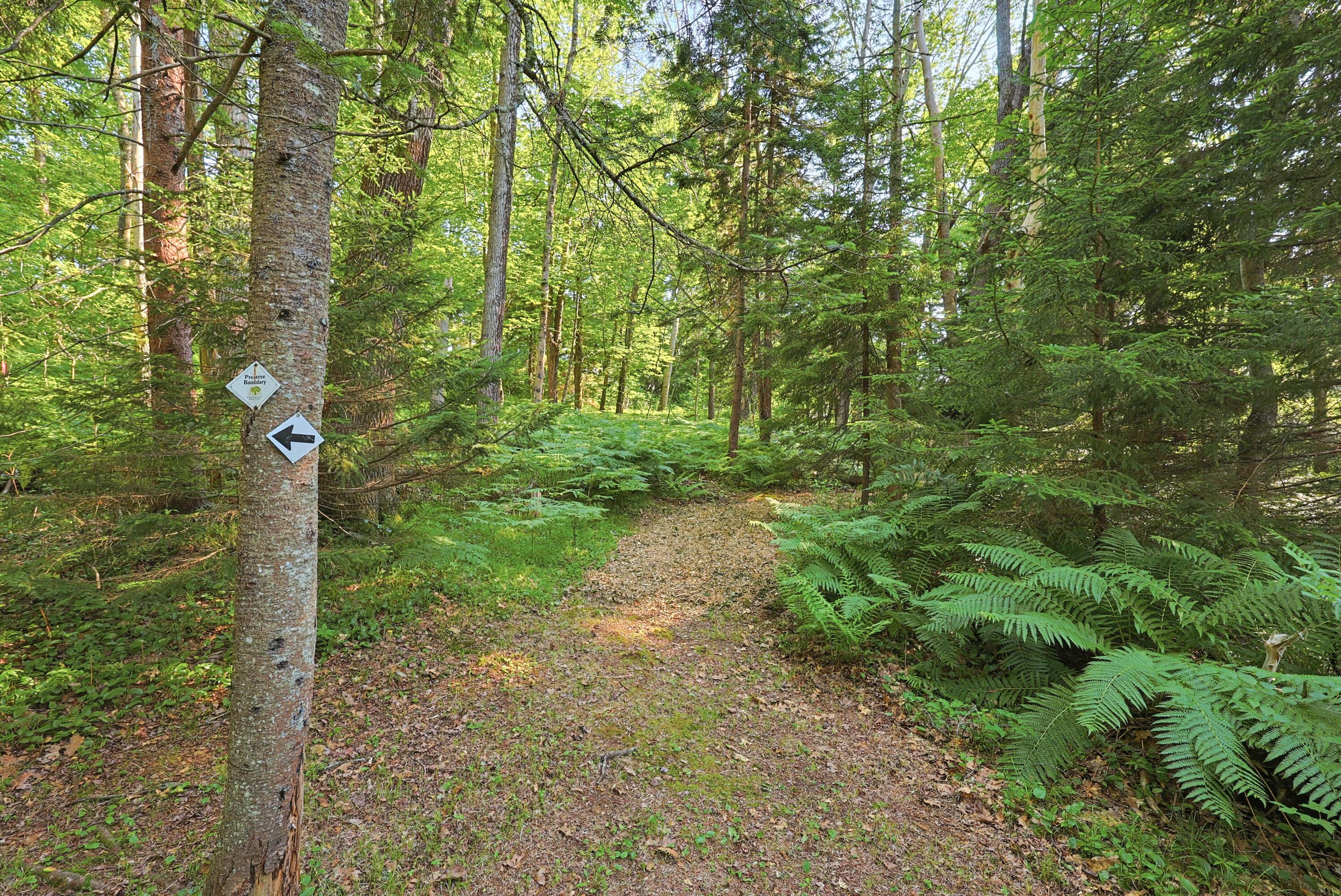 main property photo 53