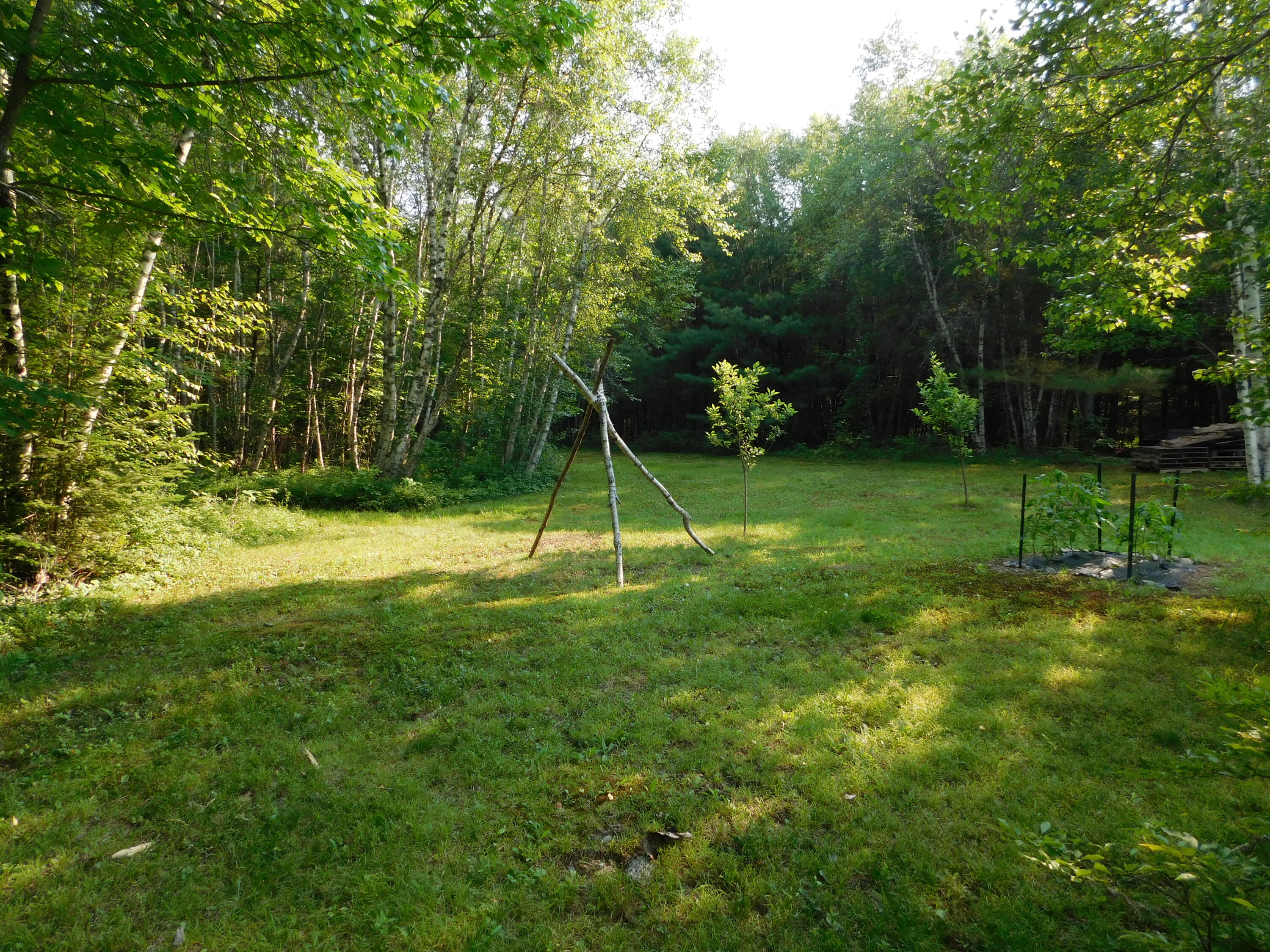 main property photo 52