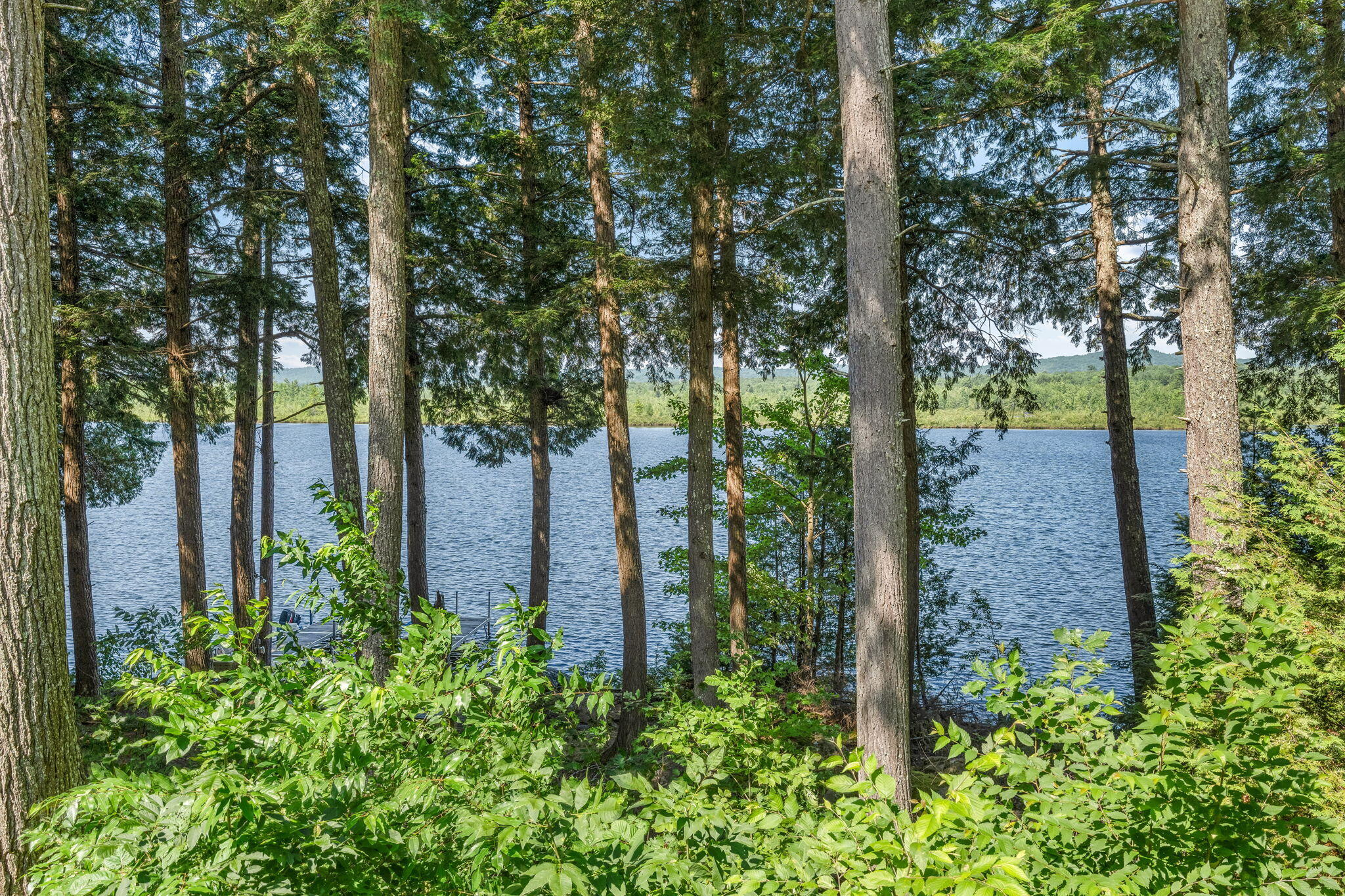 main property photo 36