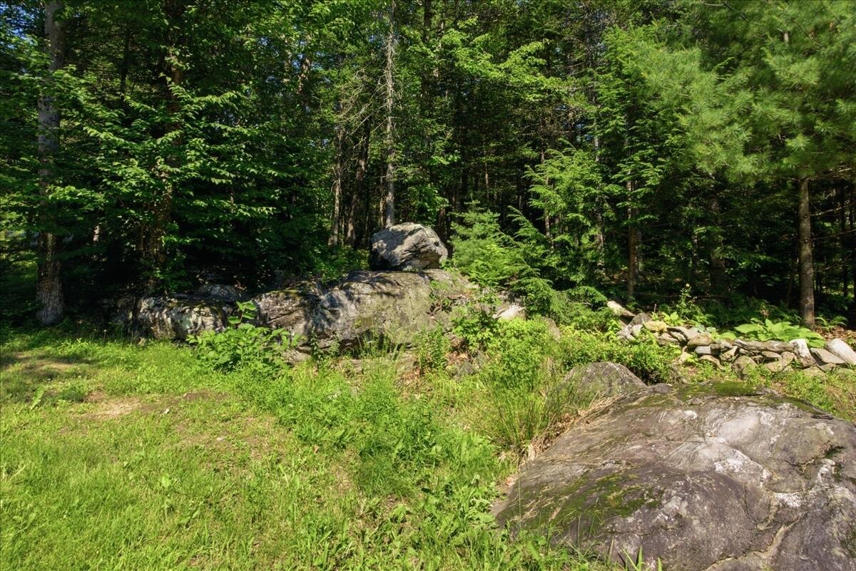 main property photo 54