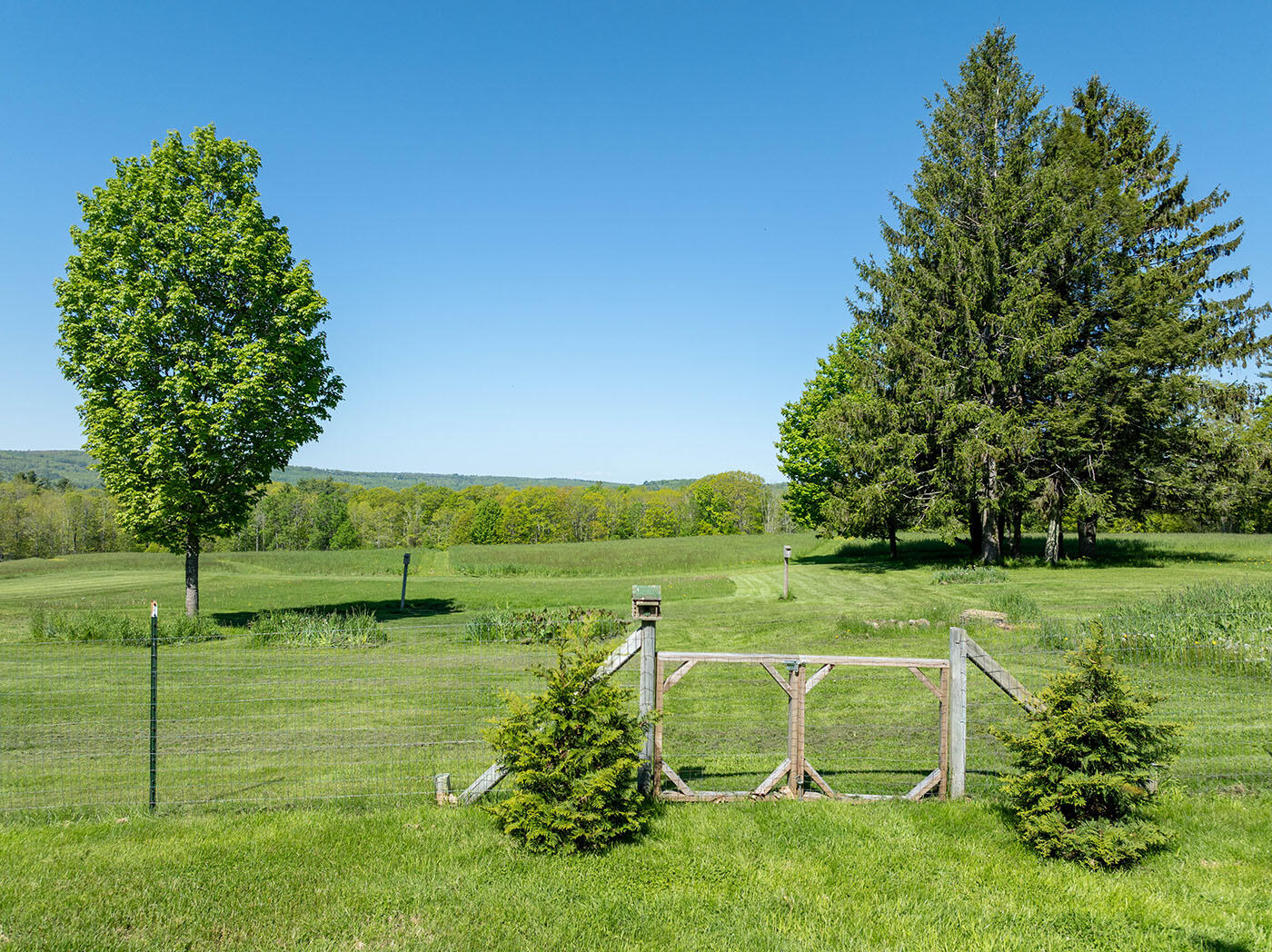 main property photo 26