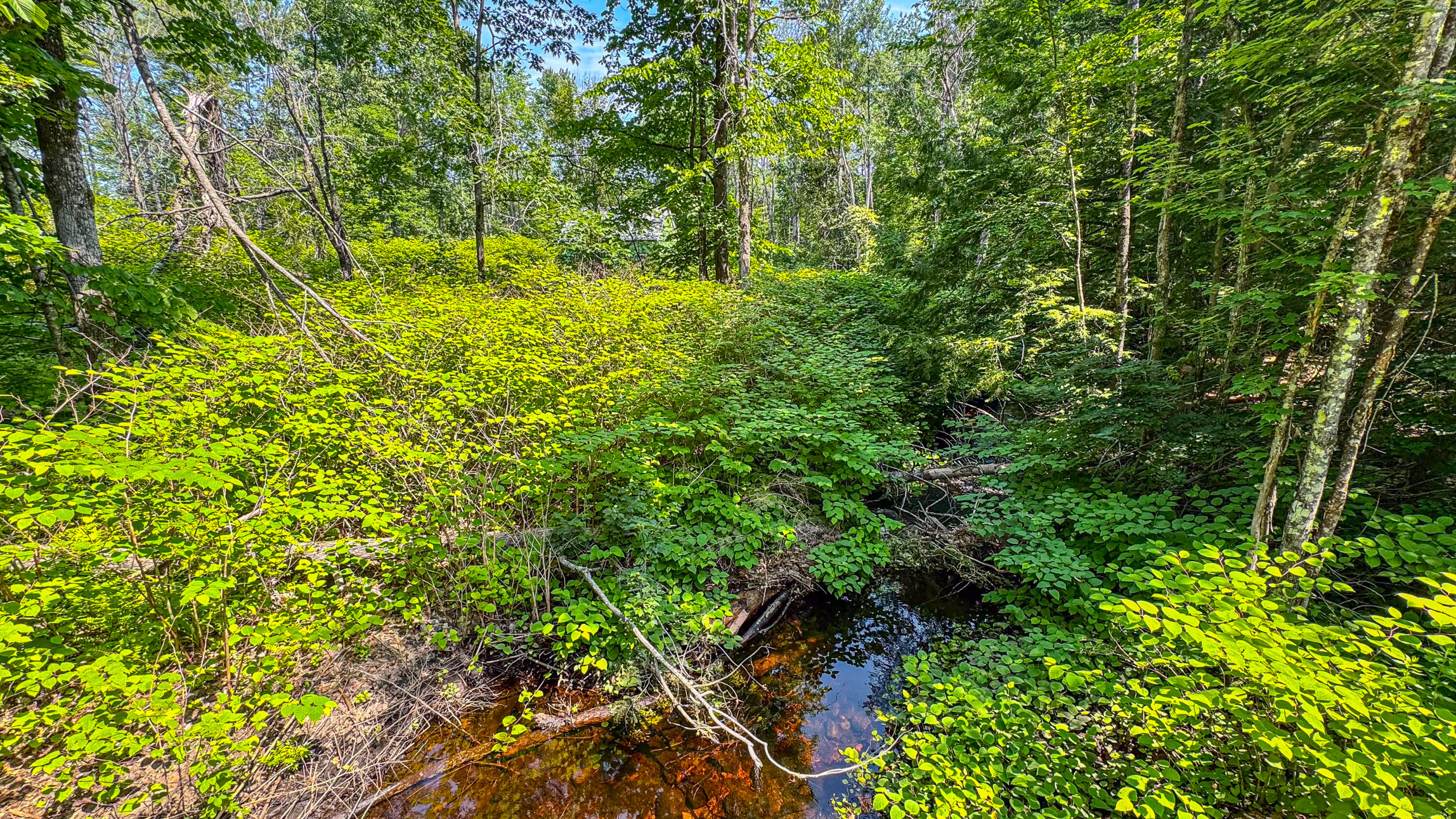 main property photo 36