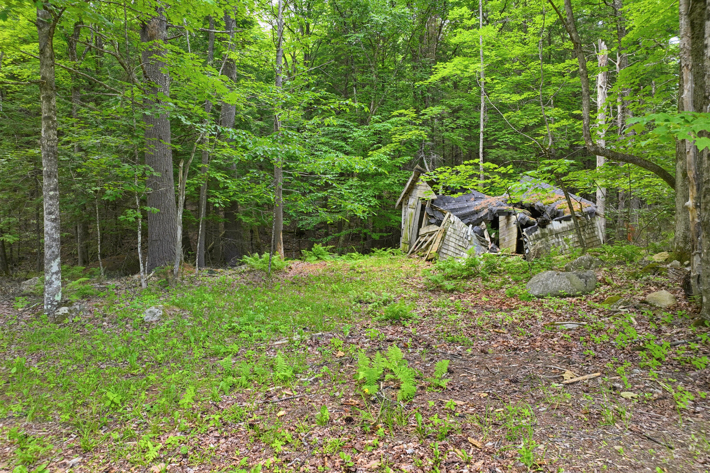 main property photo 20