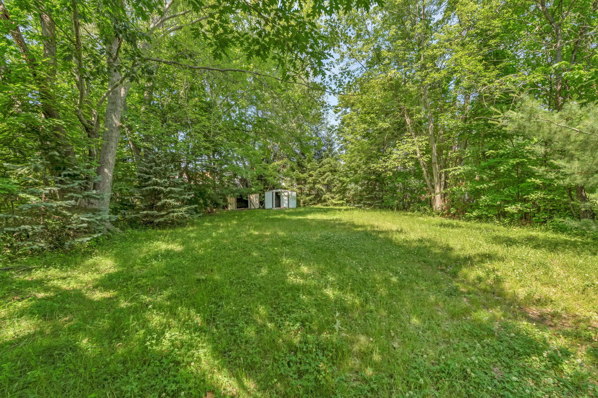 main property photo 56