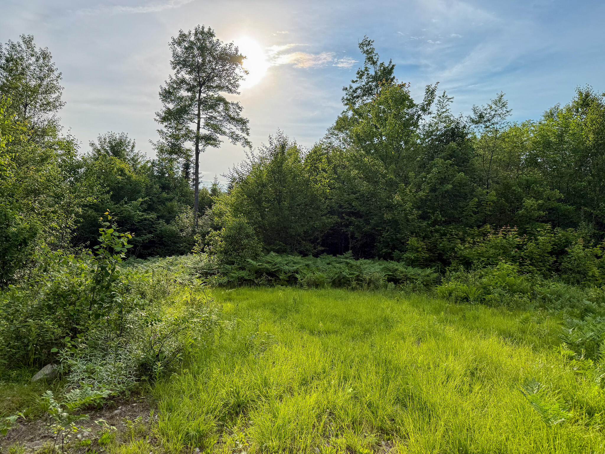 main property photo 18