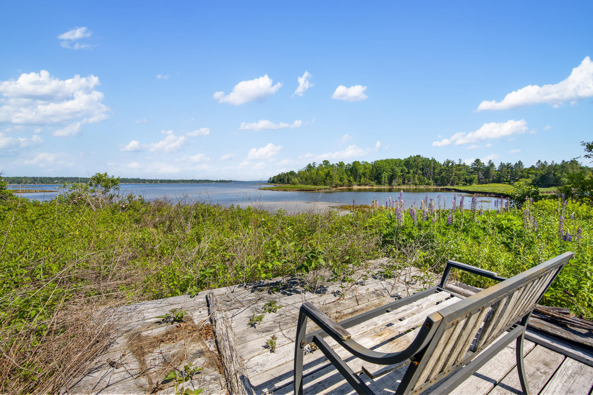 main property photo 4