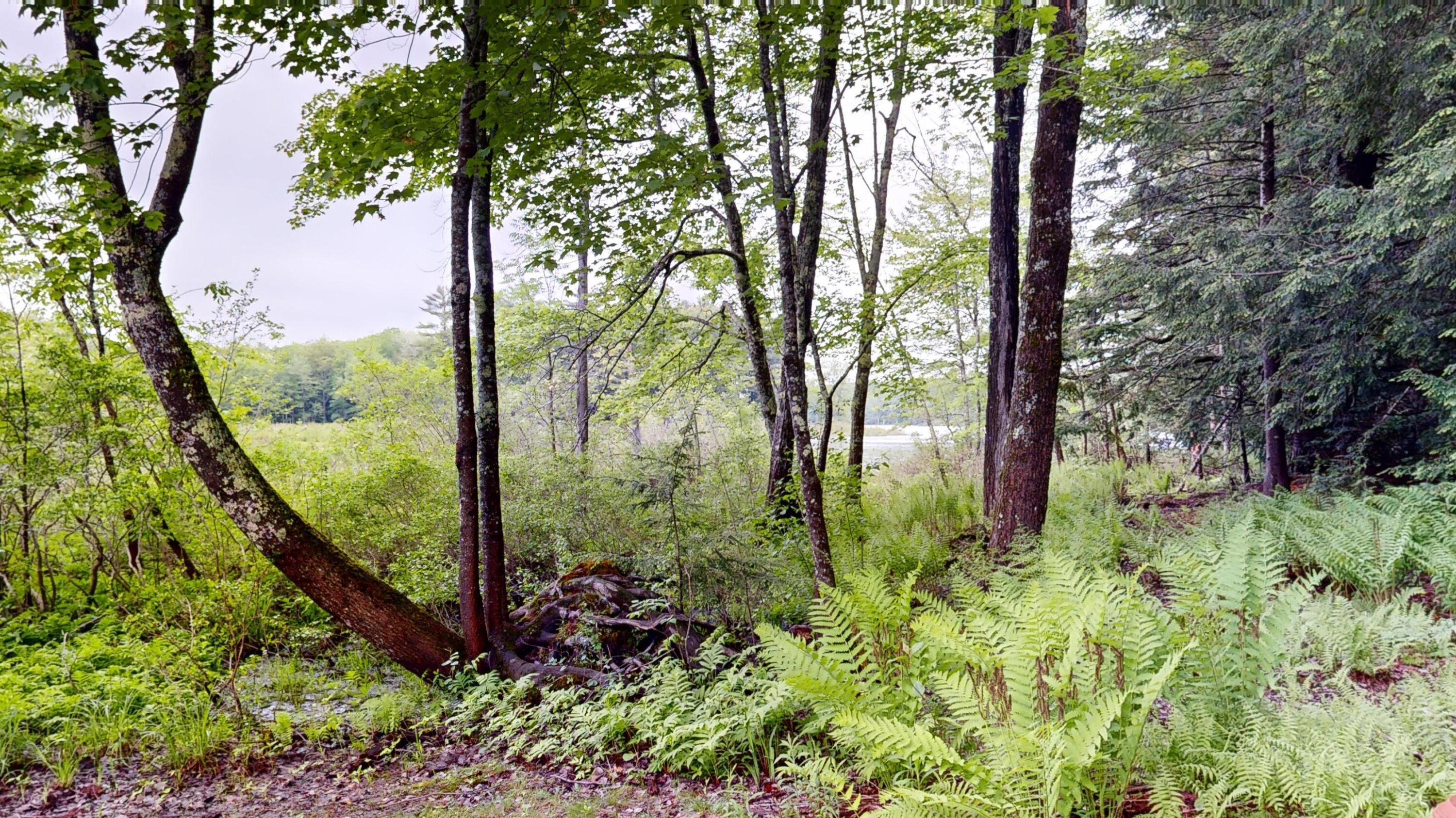 main property photo 52