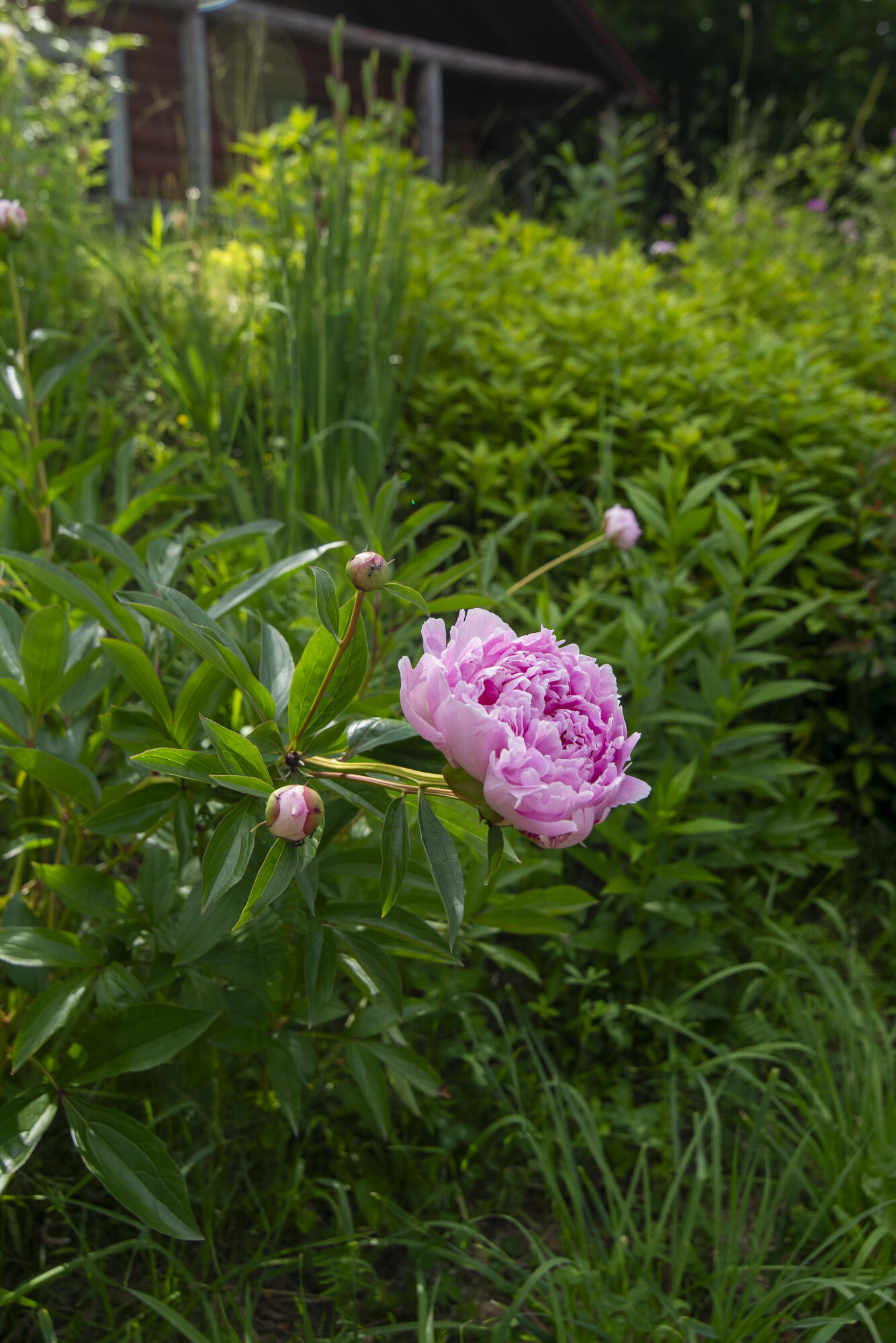 main property photo 7