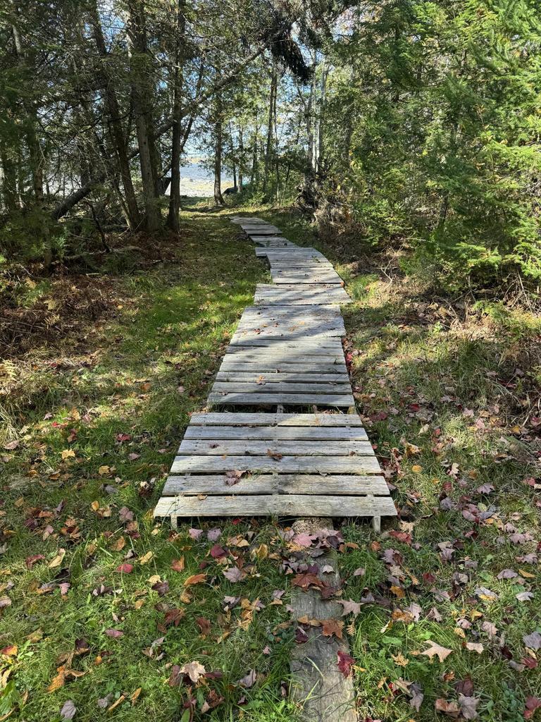 main property photo 38