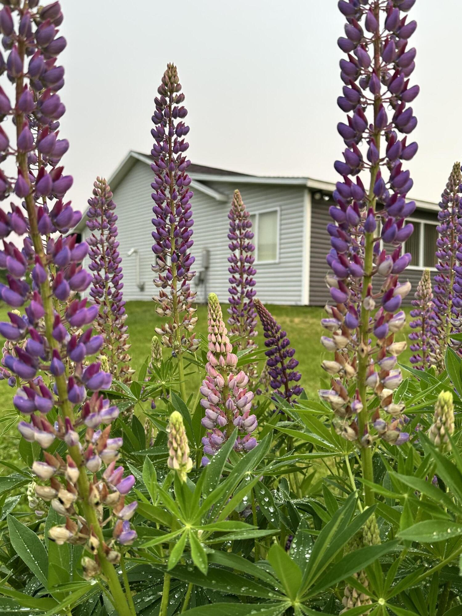 main property photo 57