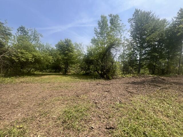 main property photo 9