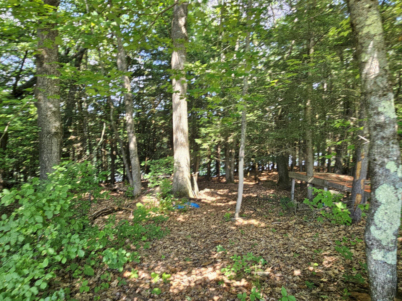 main property photo 45