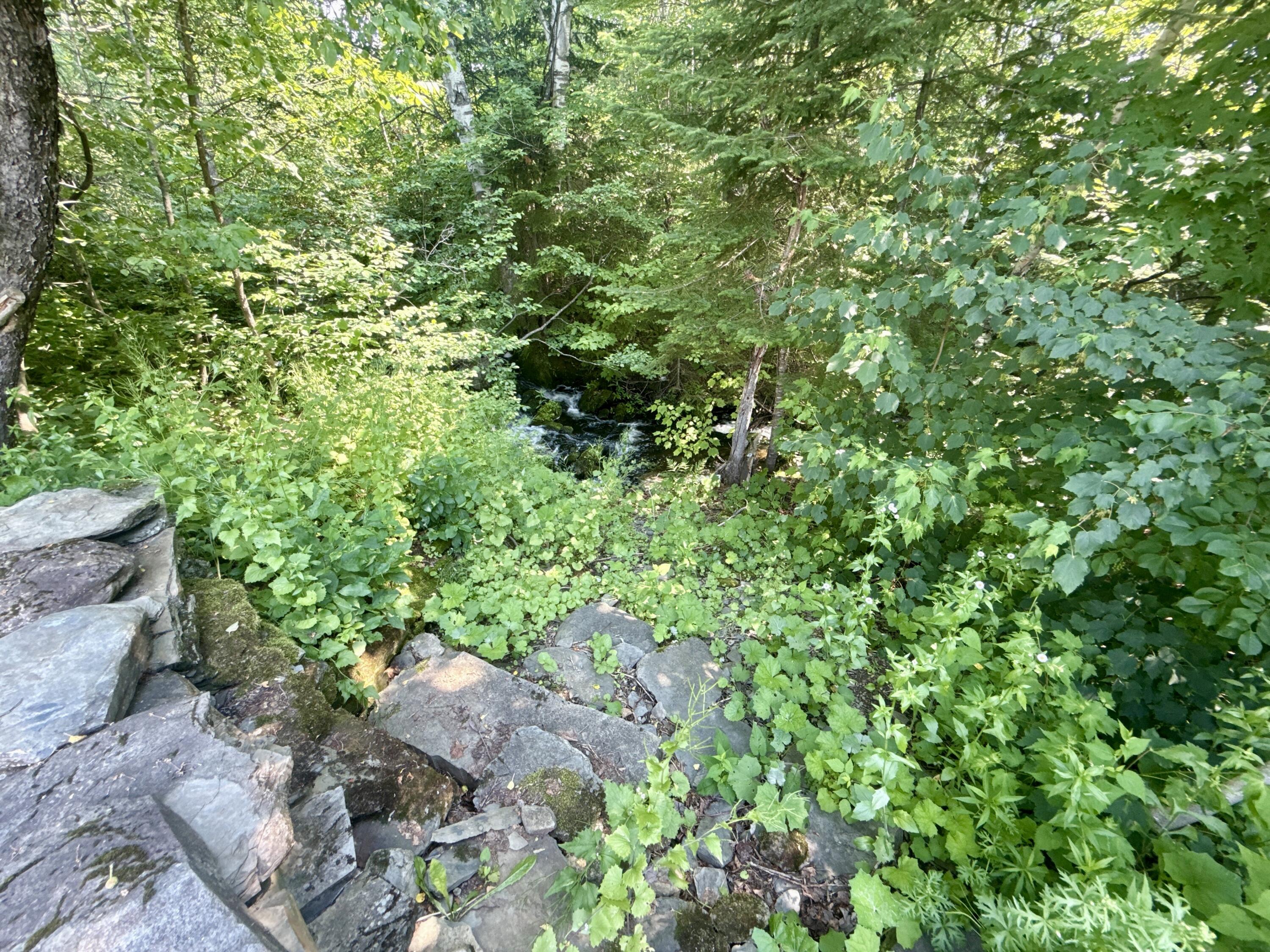 main property photo 34