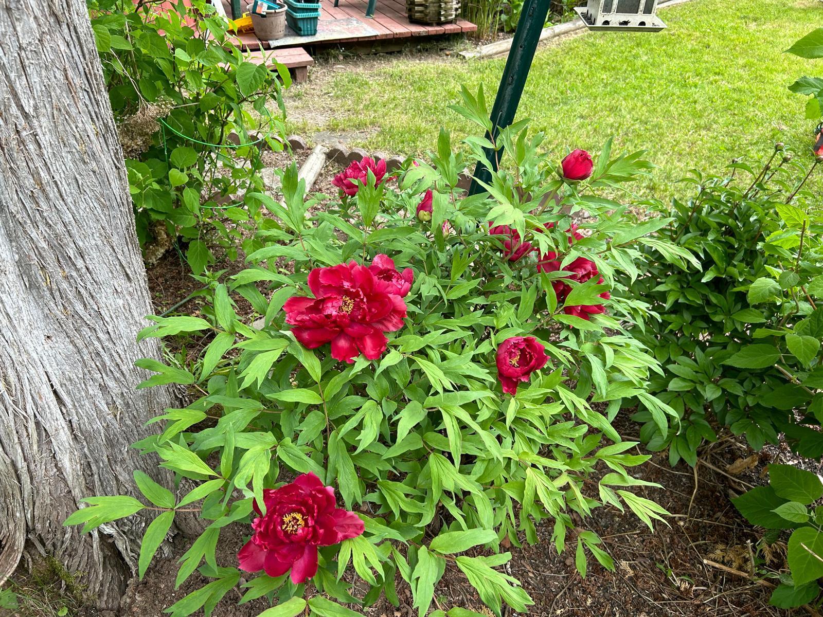 main property photo 46