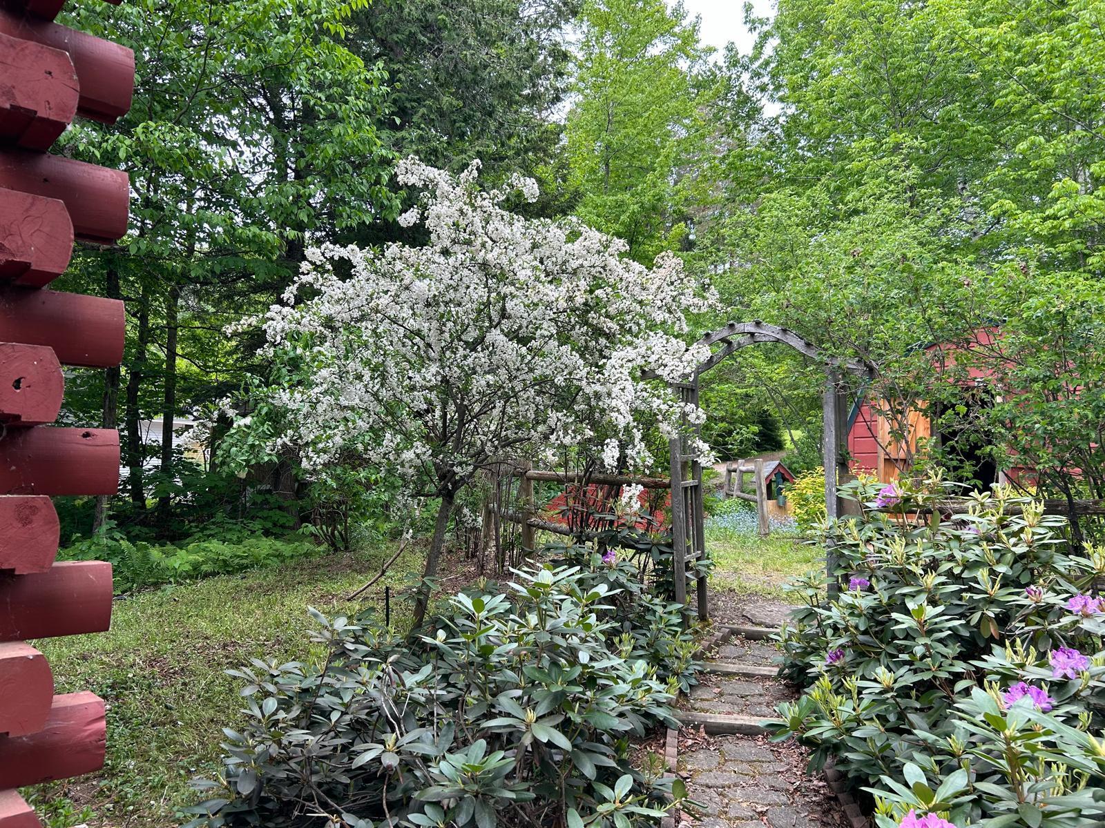 main property photo 47