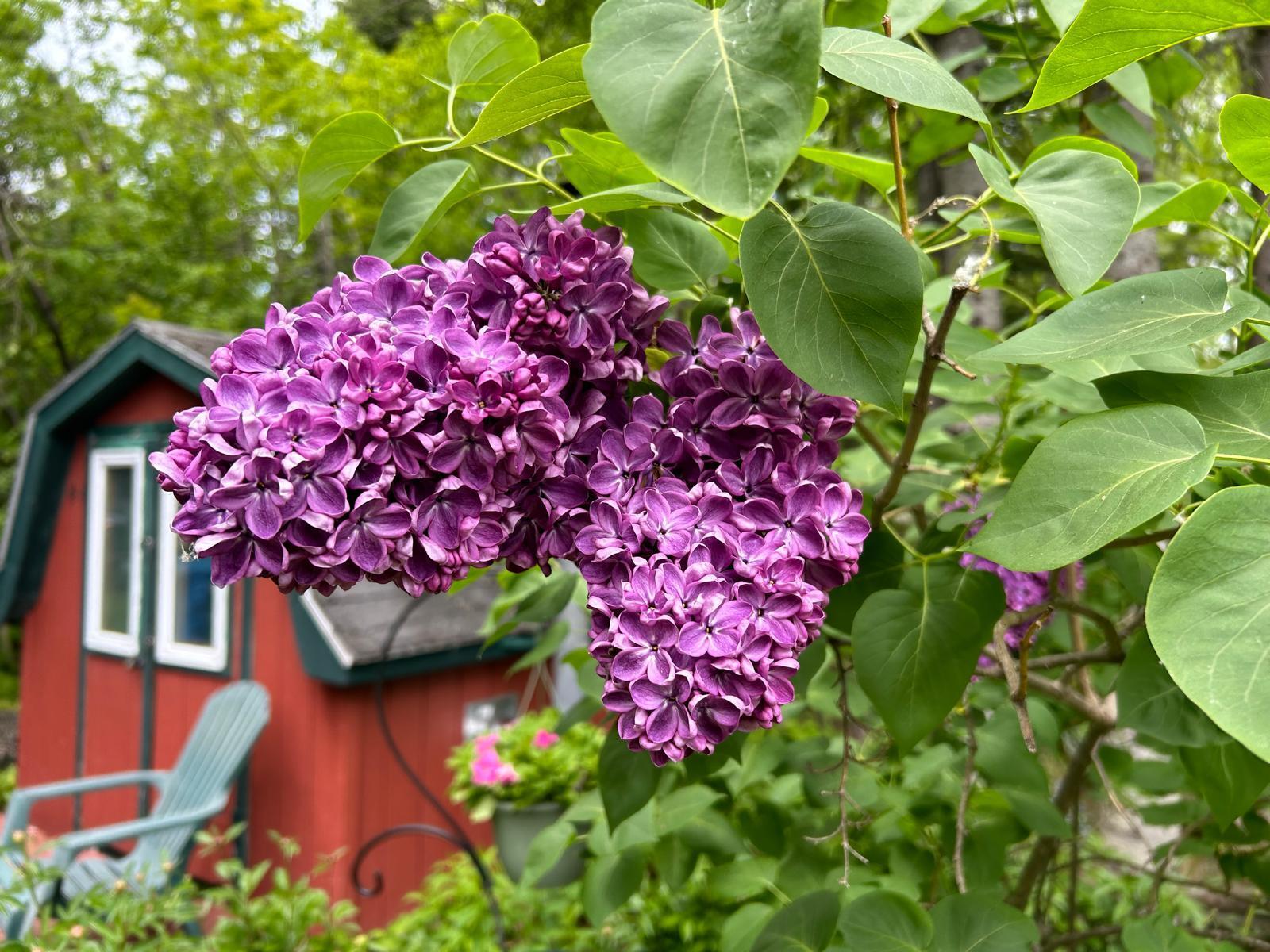 main property photo 51