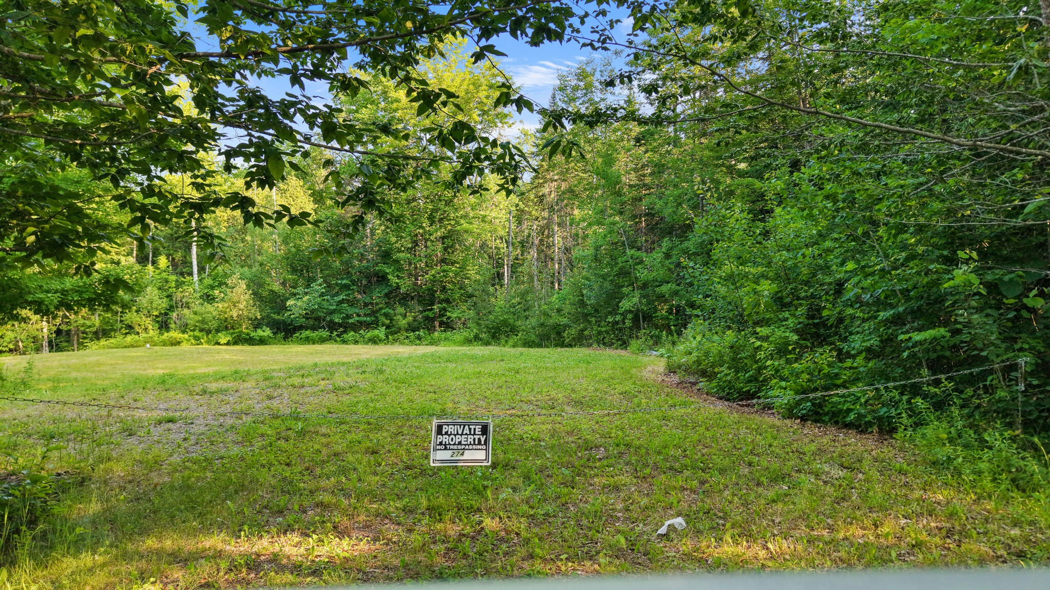 main property photo 13