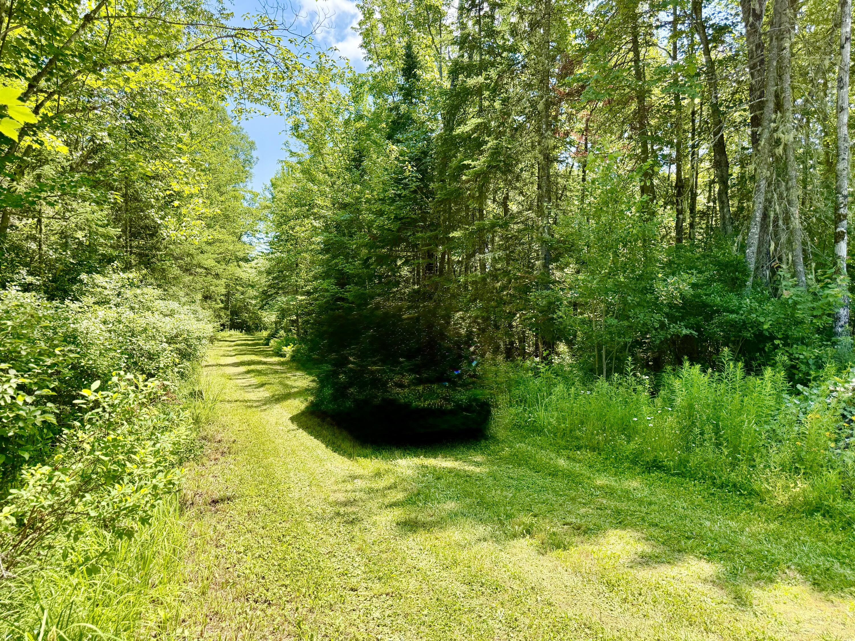 main property photo 61