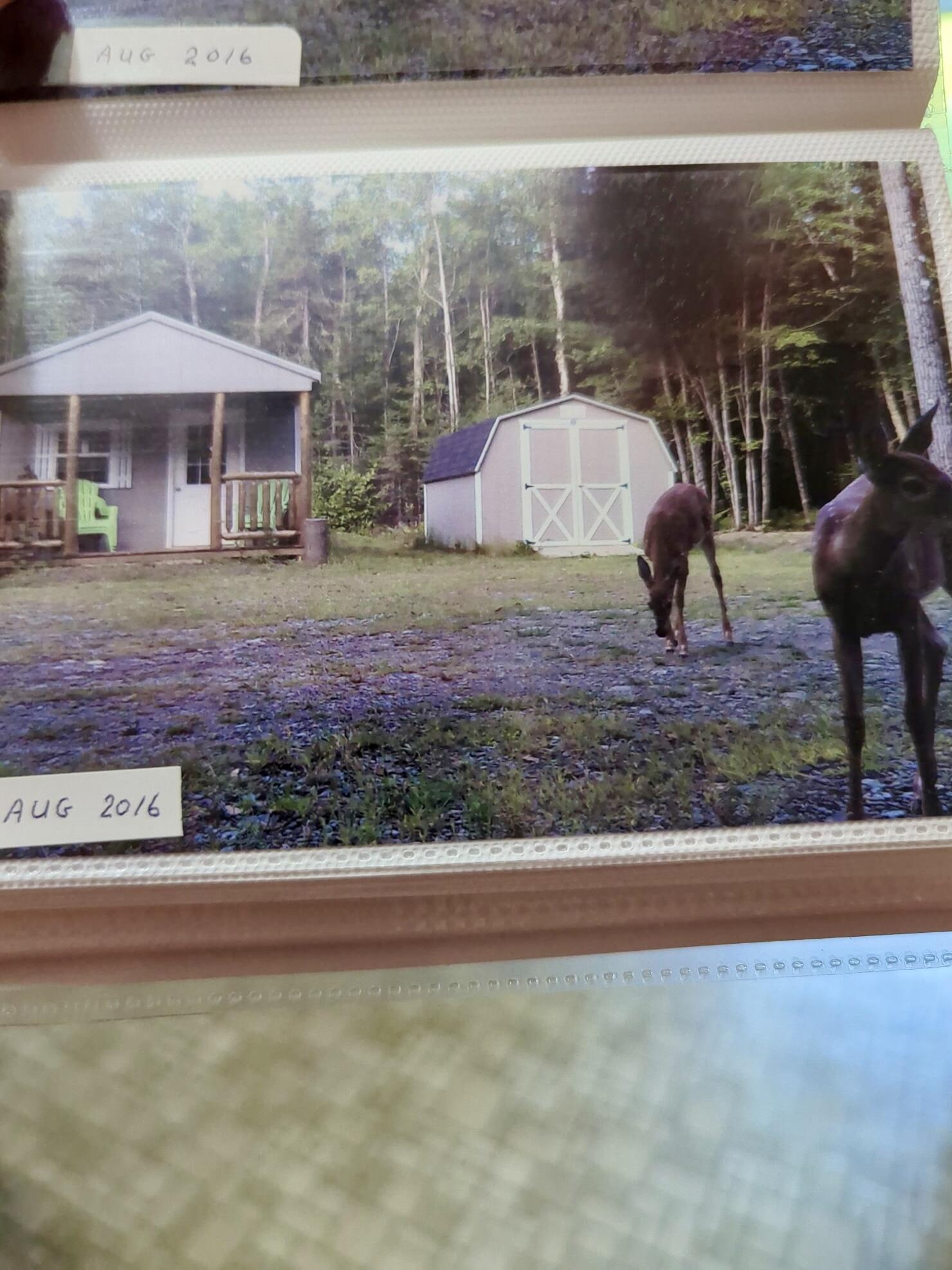 main property photo 66