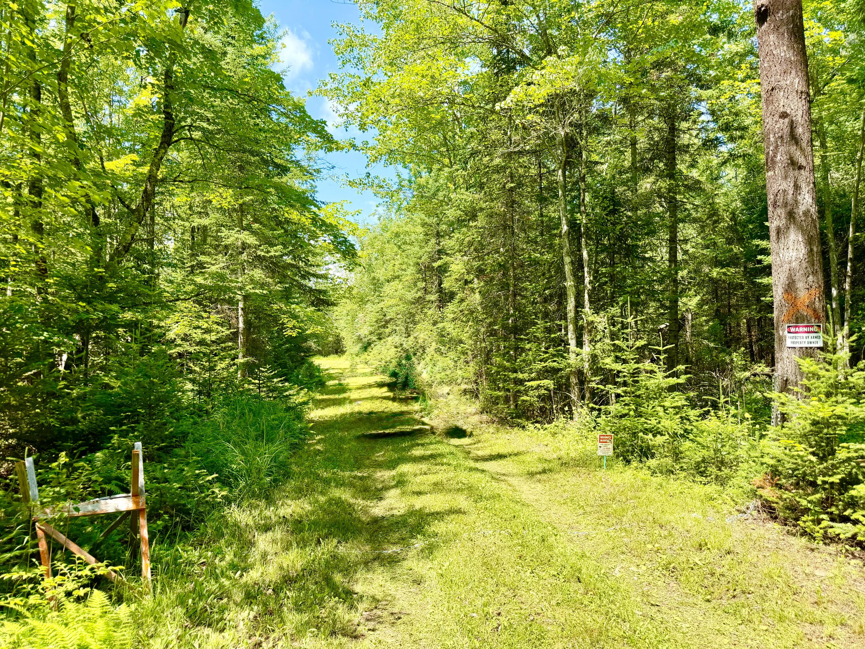 main property photo 8