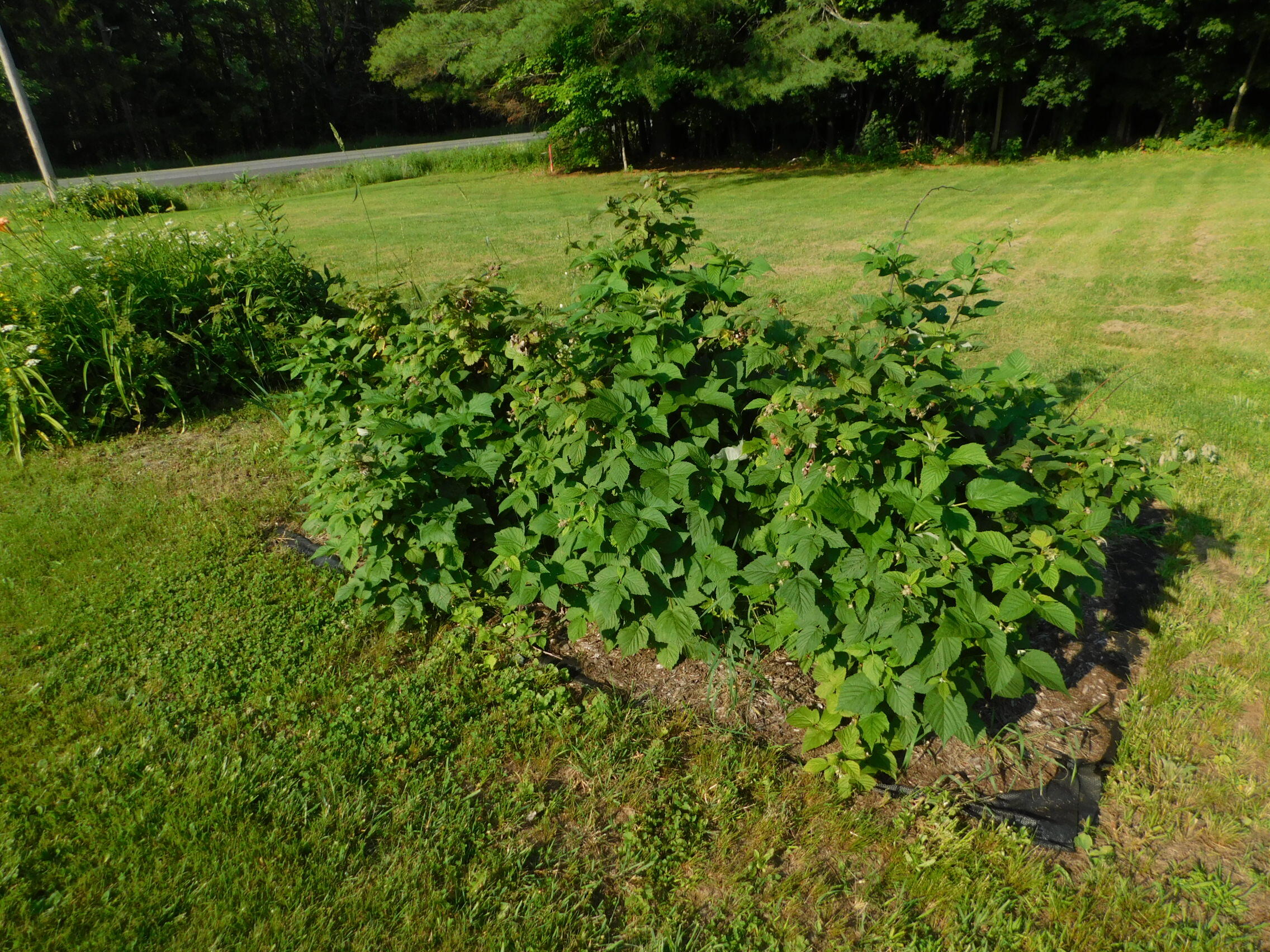 main property photo 12