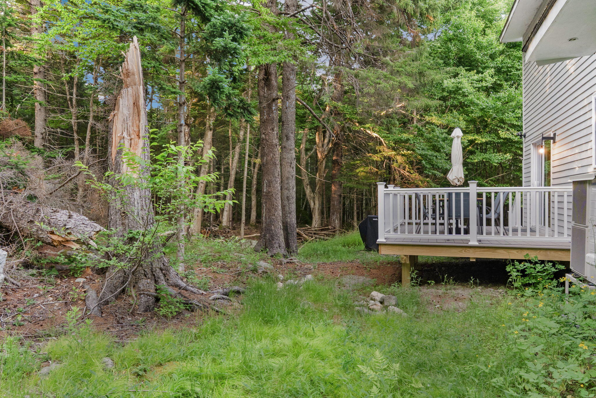 main property photo 57