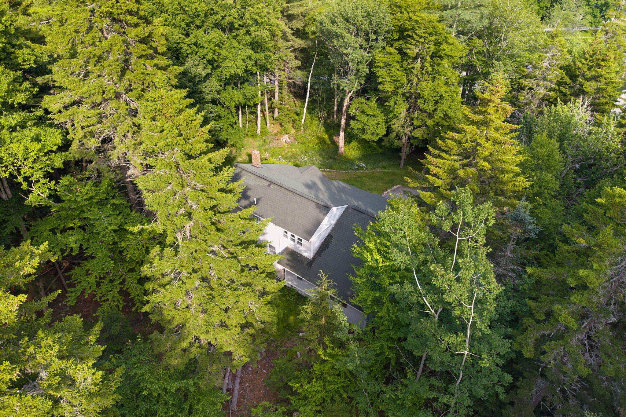 main property photo 61
