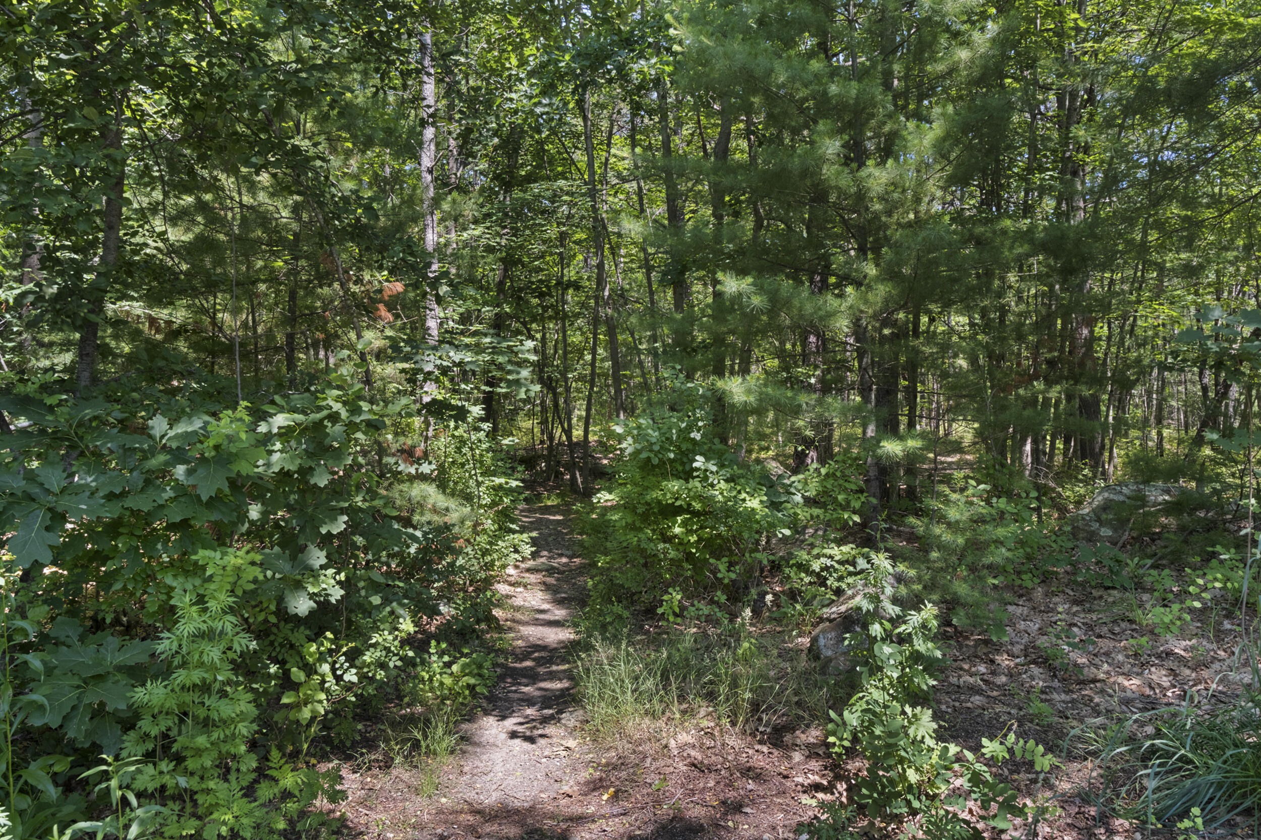 main property photo 45
