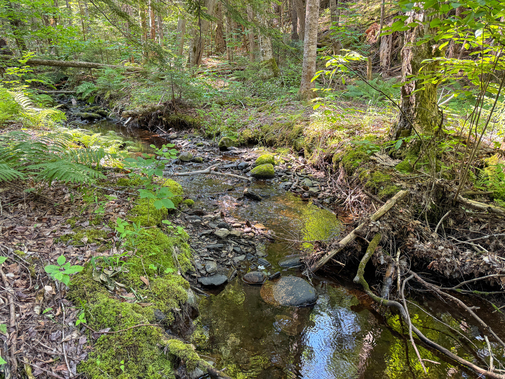 main property photo 19