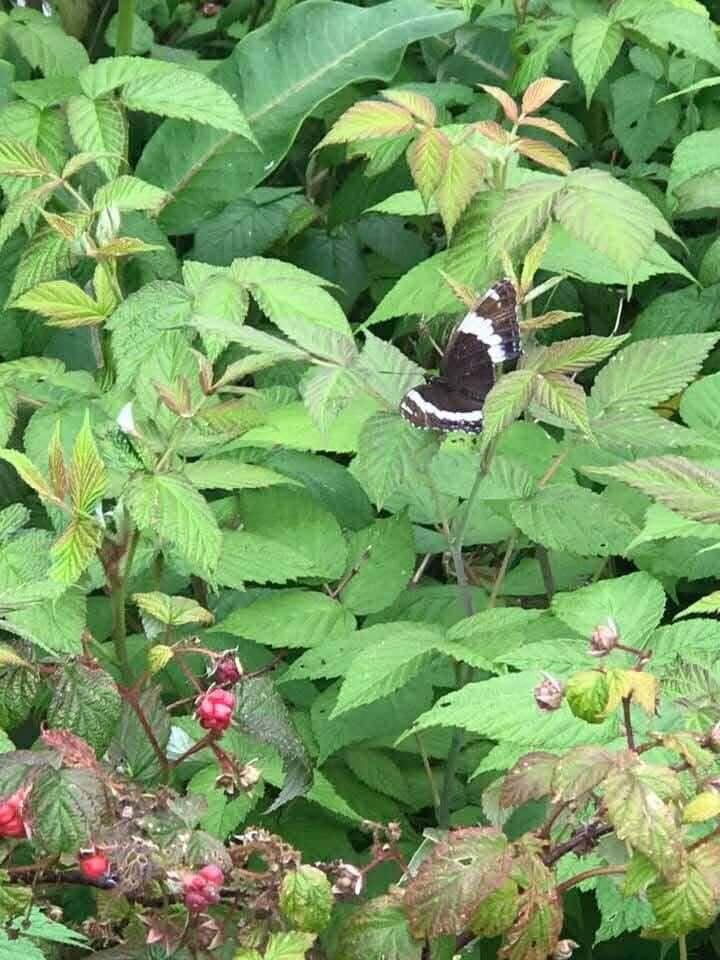 main property photo 36