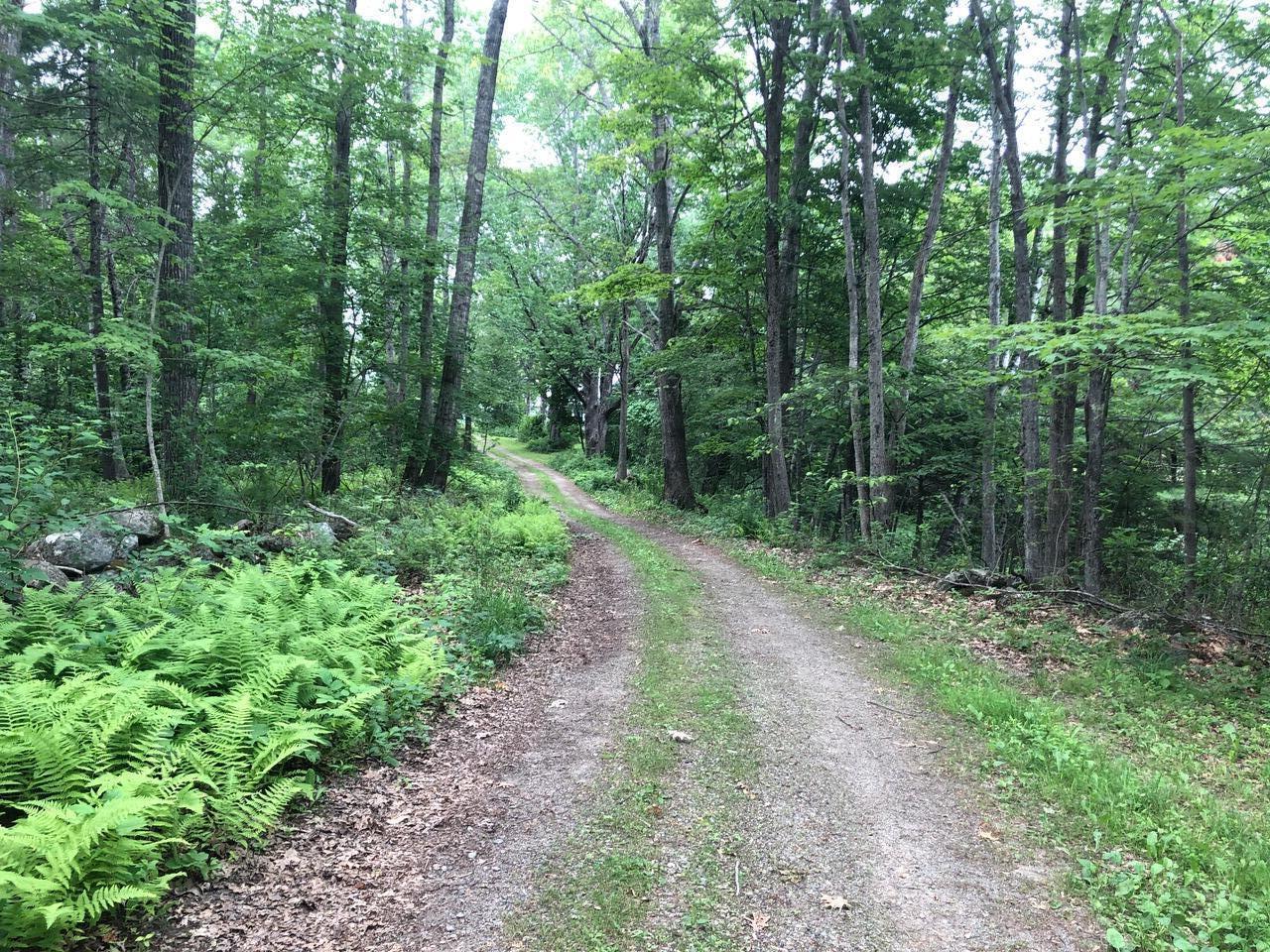 main property photo 51