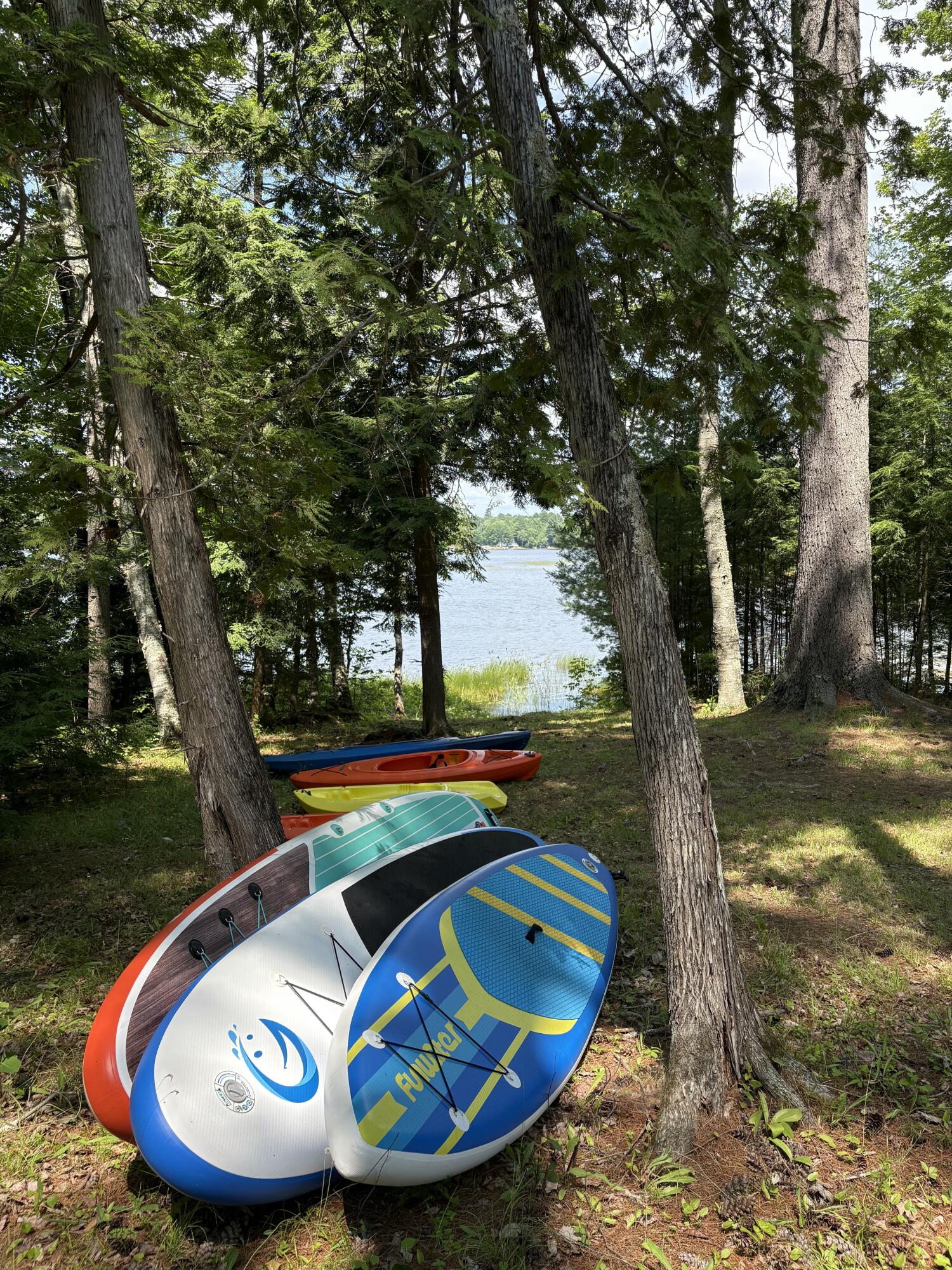 main property photo 54