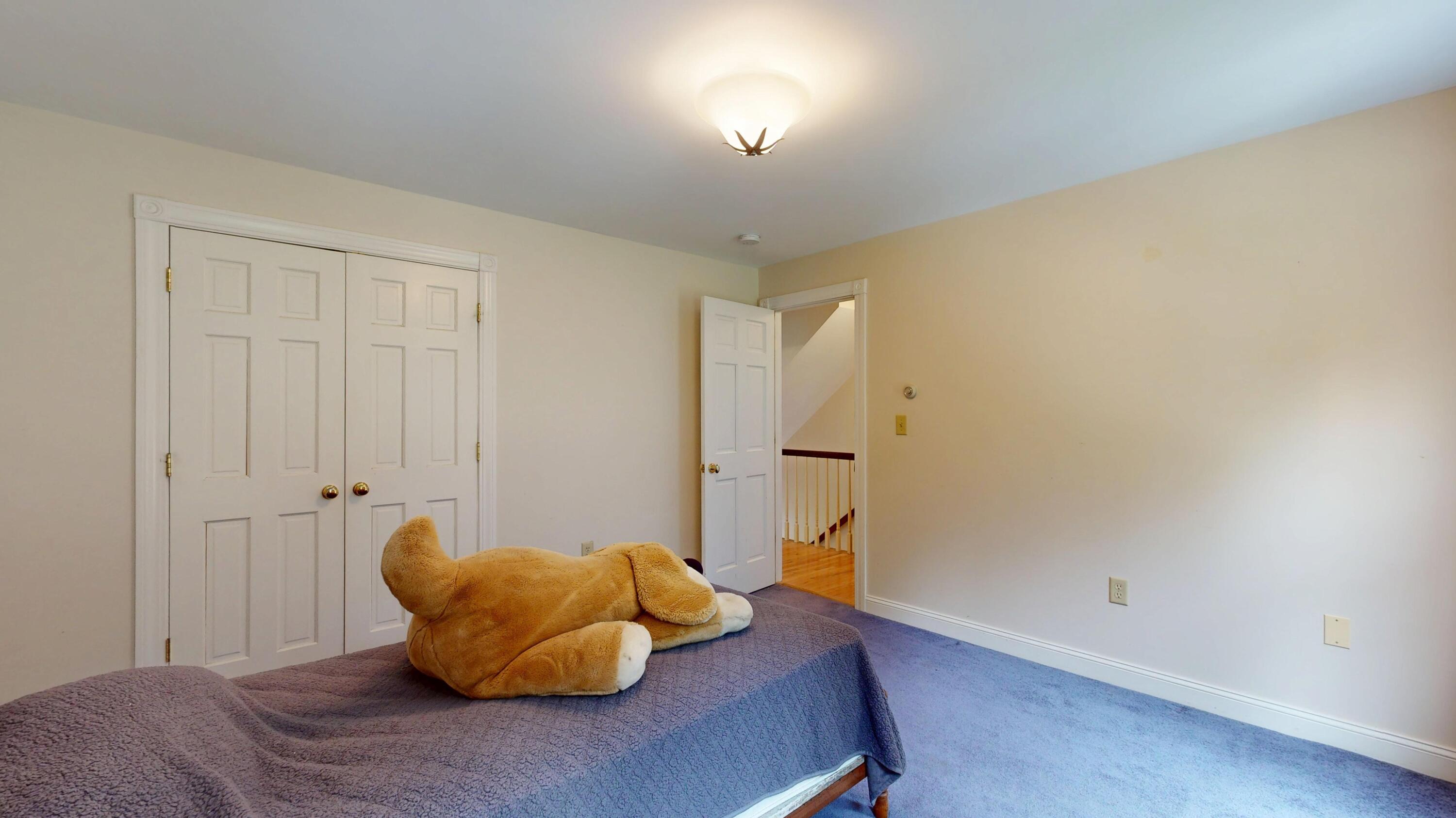 main property photo 39