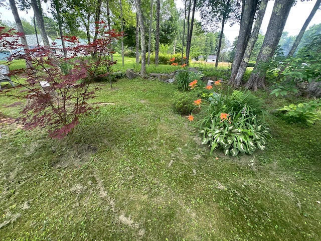 main property photo 55