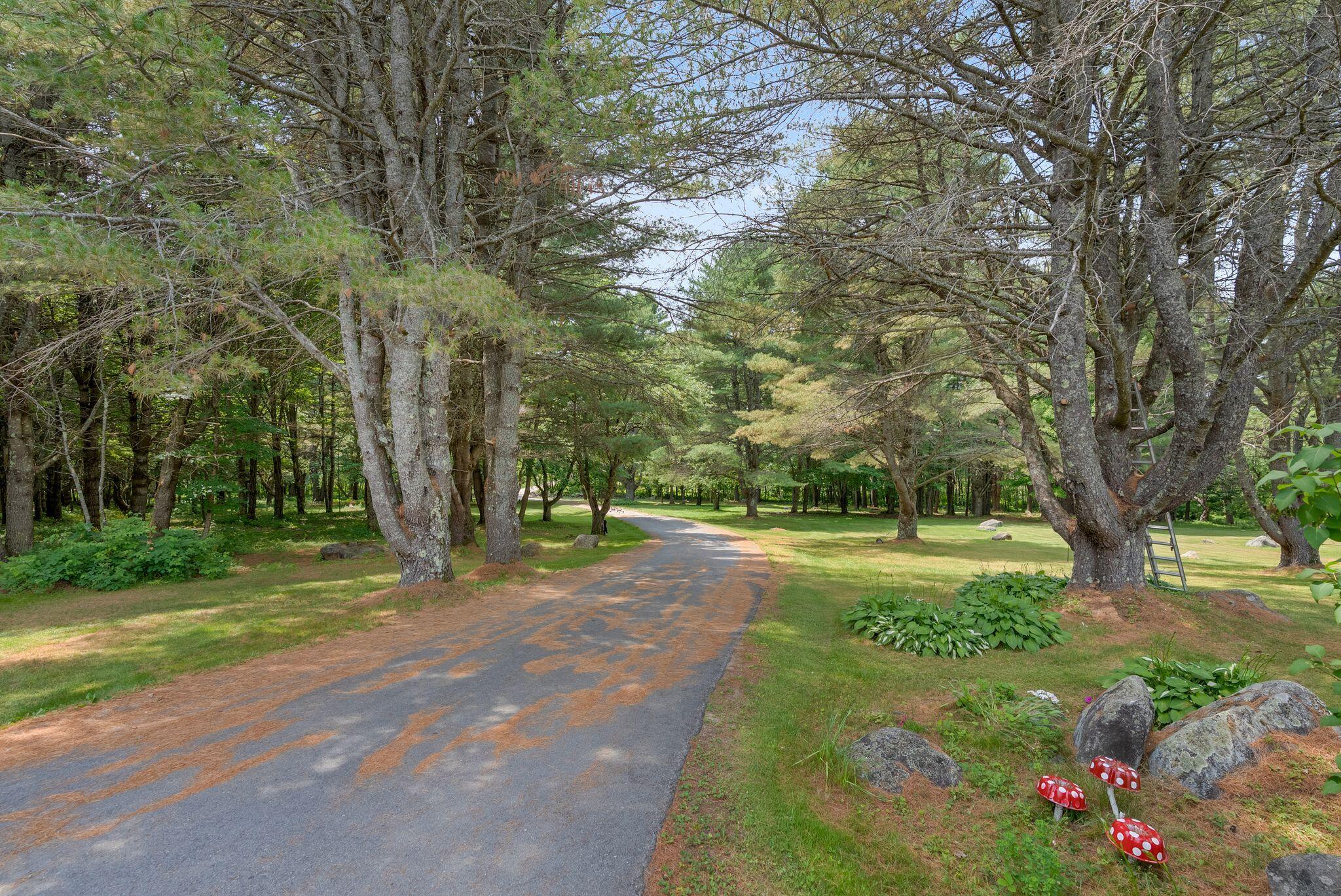 main property photo 74