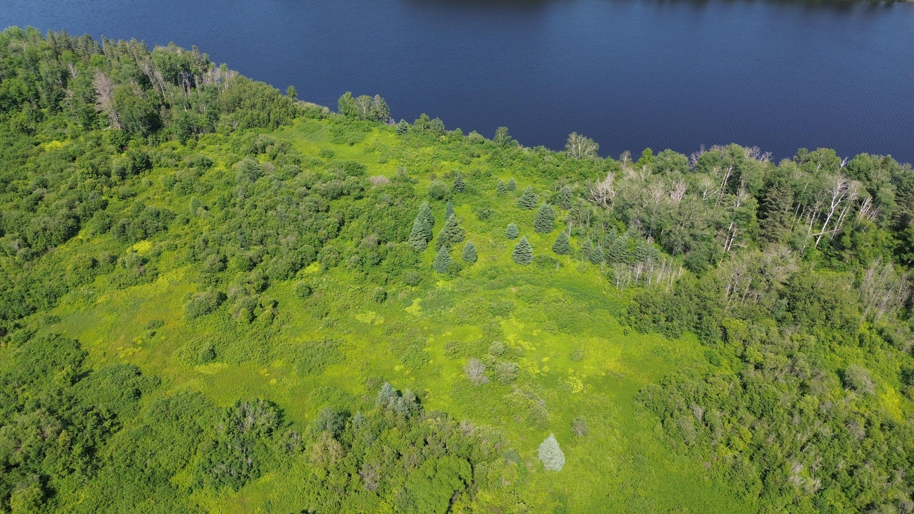 main property photo 92