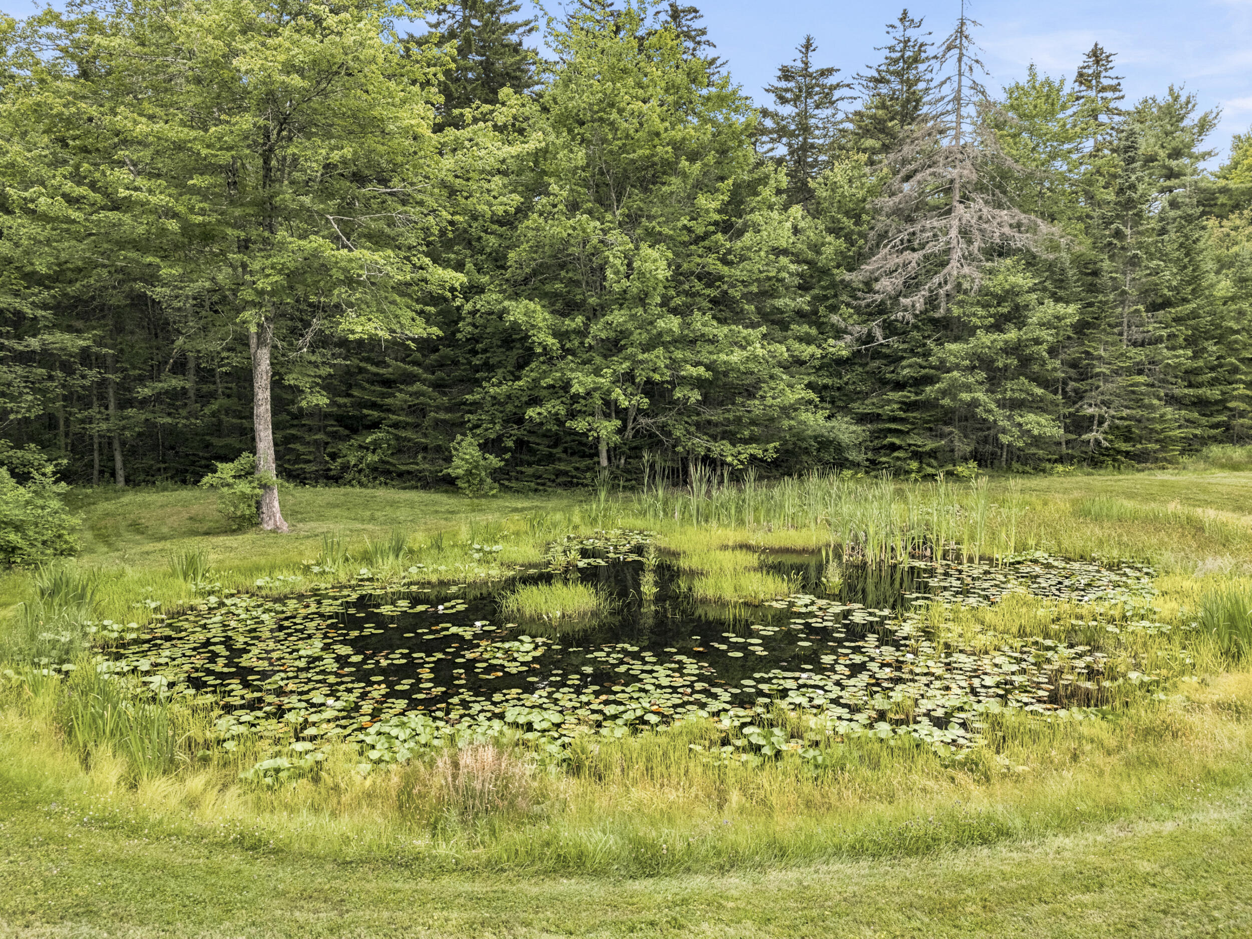 main property photo 56